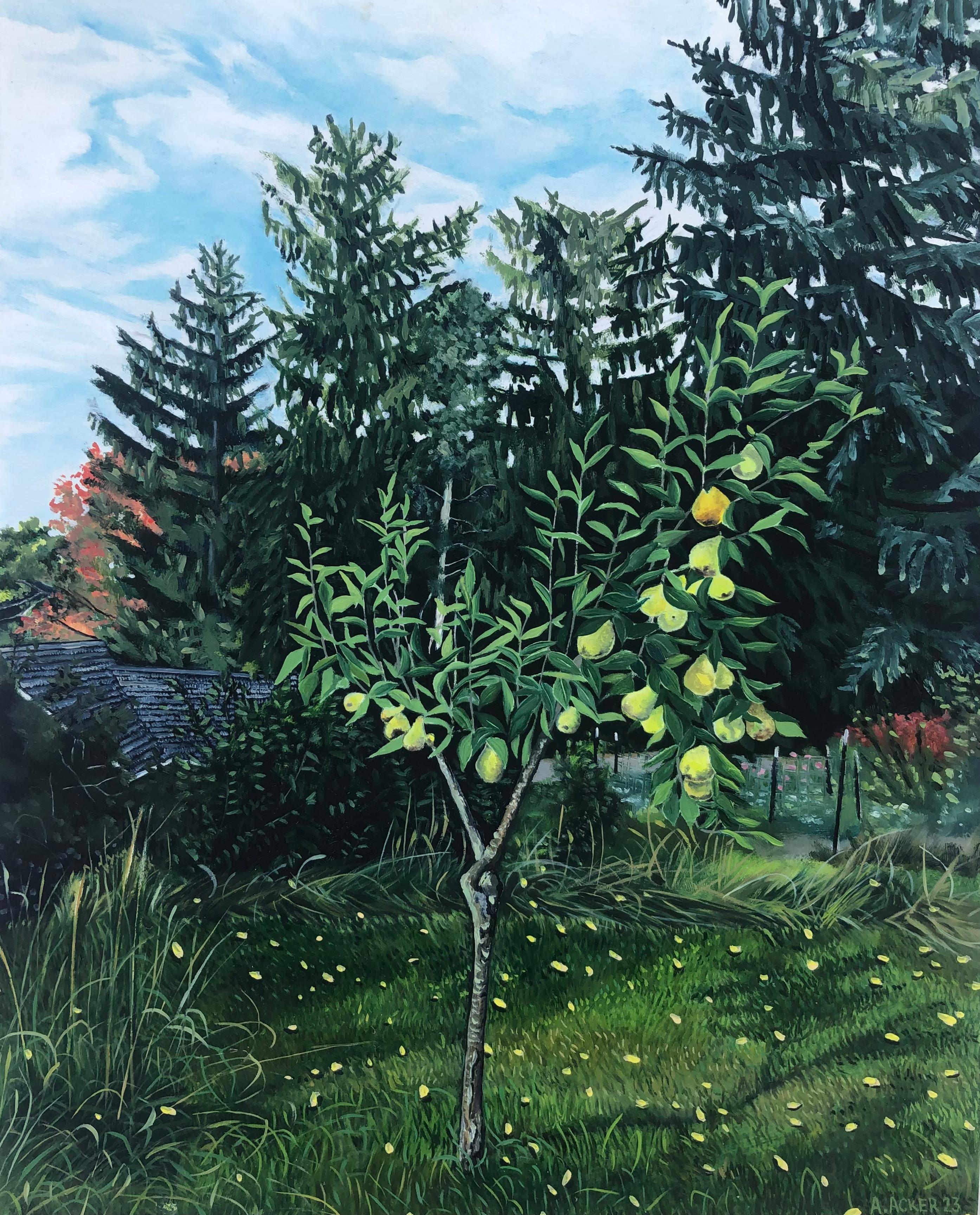 Amanda Acker Landscape Painting - Backyard Pear, Yellow Fruit, Green Leaves, Grass, Trees, Blue Sky Clouds, Garden