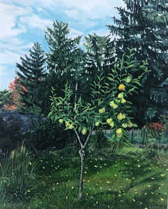 Pera da cortile, frutto giallo, foglie verdi, erba, alberi, cielo blu, nuvole, giardino