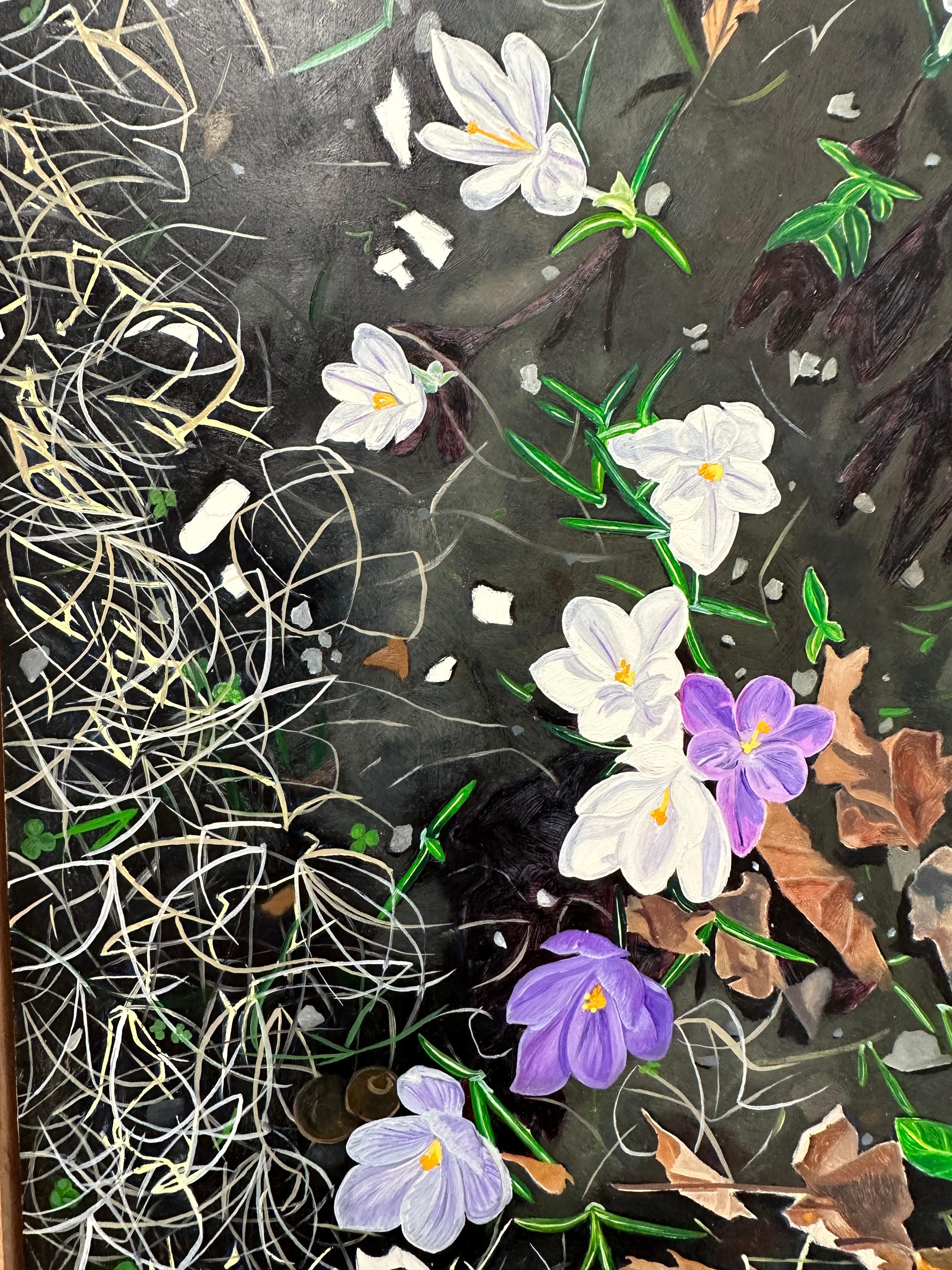Auf diesem zeitgenössischen botanischen Gemälde in Öl auf Tafel heben sich lila und weiße Krokusse leuchtend von der dunklen Erde ab, während kleine Grasbüschel aus dem Boden zu sprießen beginnen. Verso signiert, datiert und betitelt, gerahmt in
