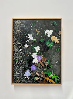 Crocus Spoke - Purple White Flowers Green Plants Garden Spring, 2023