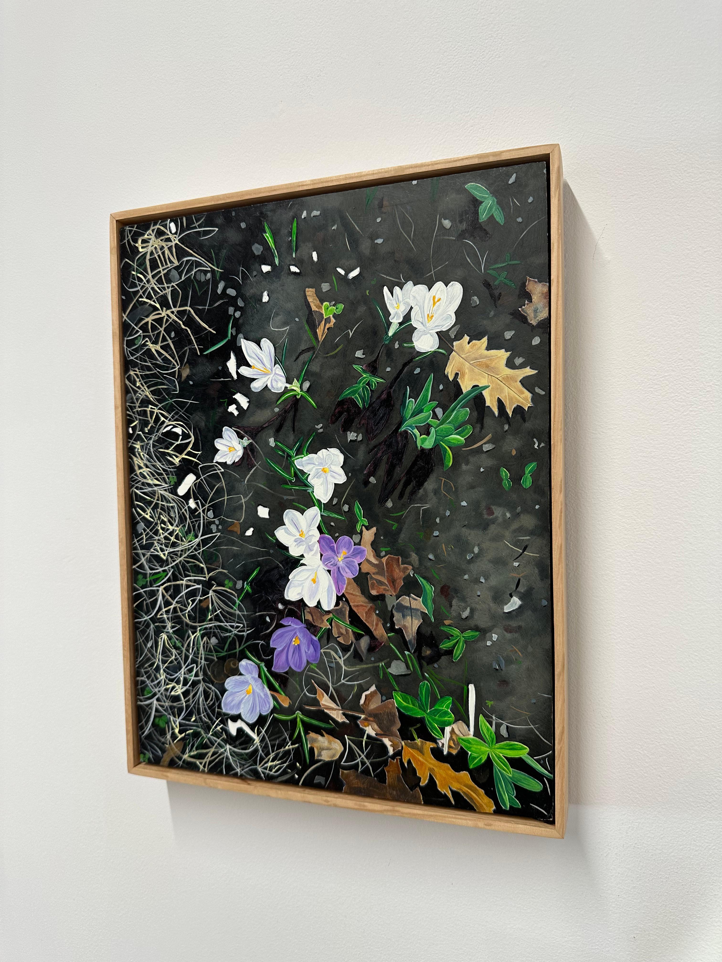 Crocus Spoke, Purple, White Flowers in Dark Soil, Green Grass, Leaves, Botanical For Sale 6