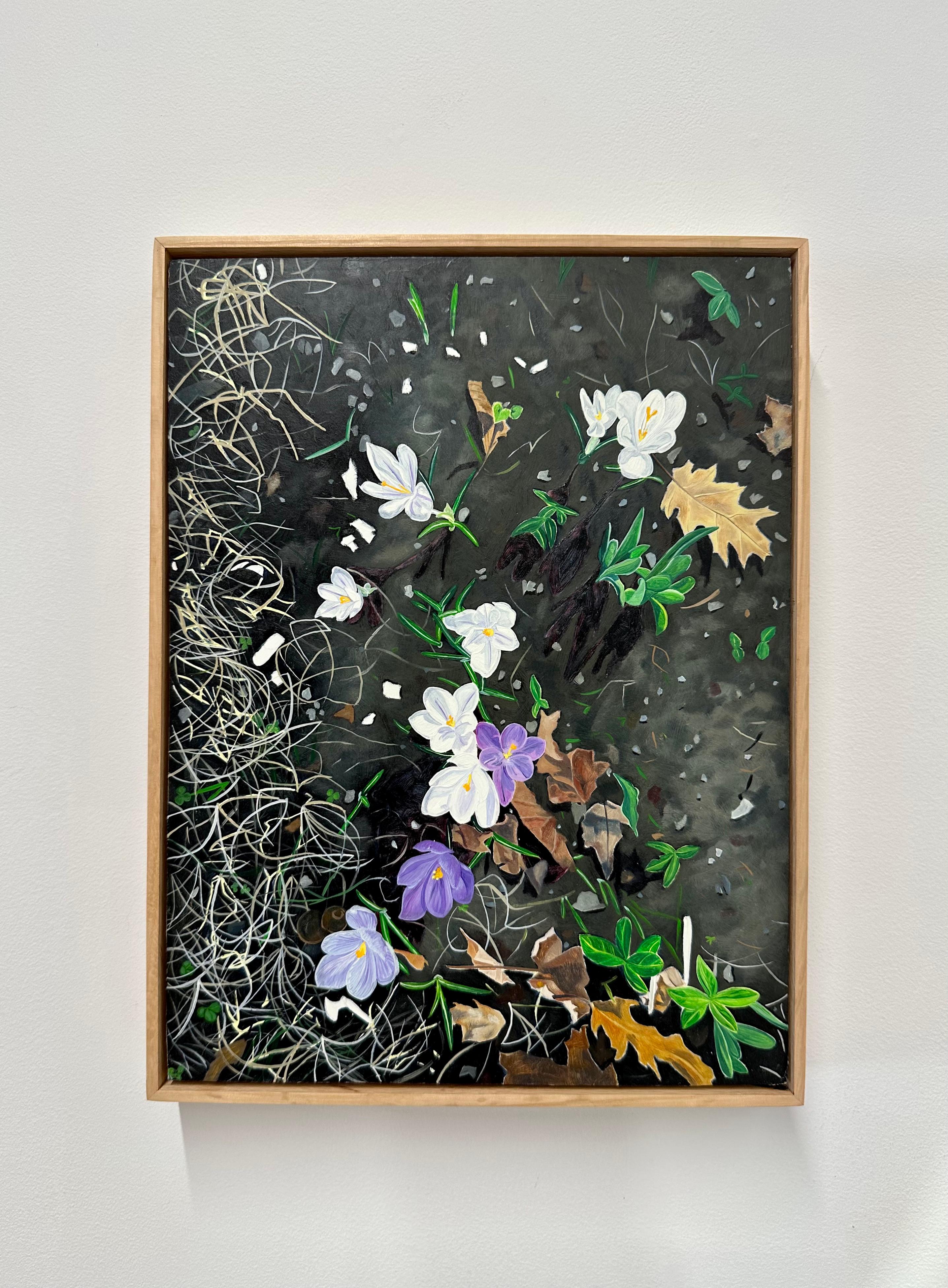 Crocus Spoke, Purple, White Flowers in Dark Soil, Green Grass, Leaves, Botanical - Painting by Amanda Acker