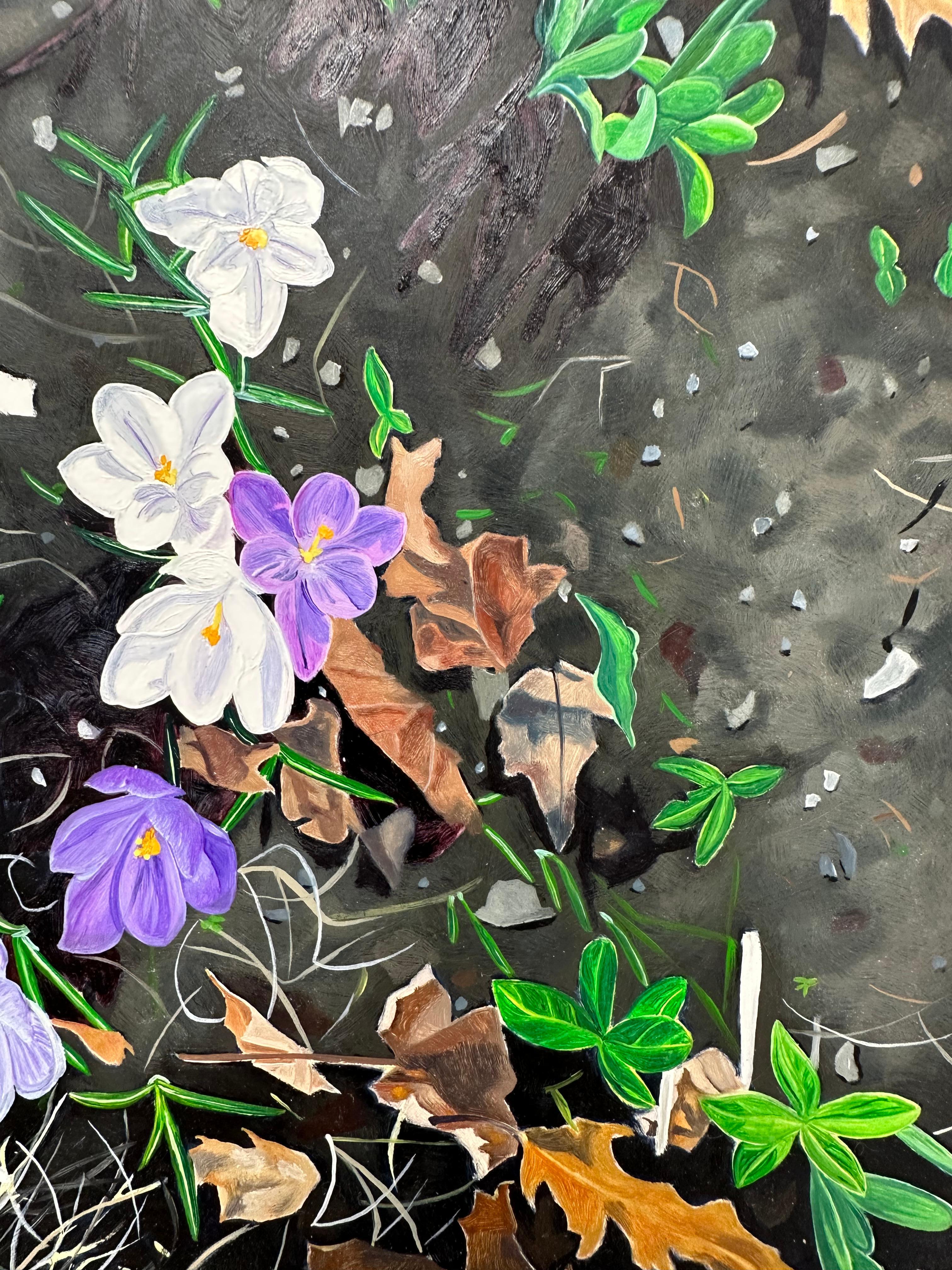 Crocus Spoke, Purple, White Flowers in Dark Soil, Green Grass, Leaves, Botanical For Sale 3