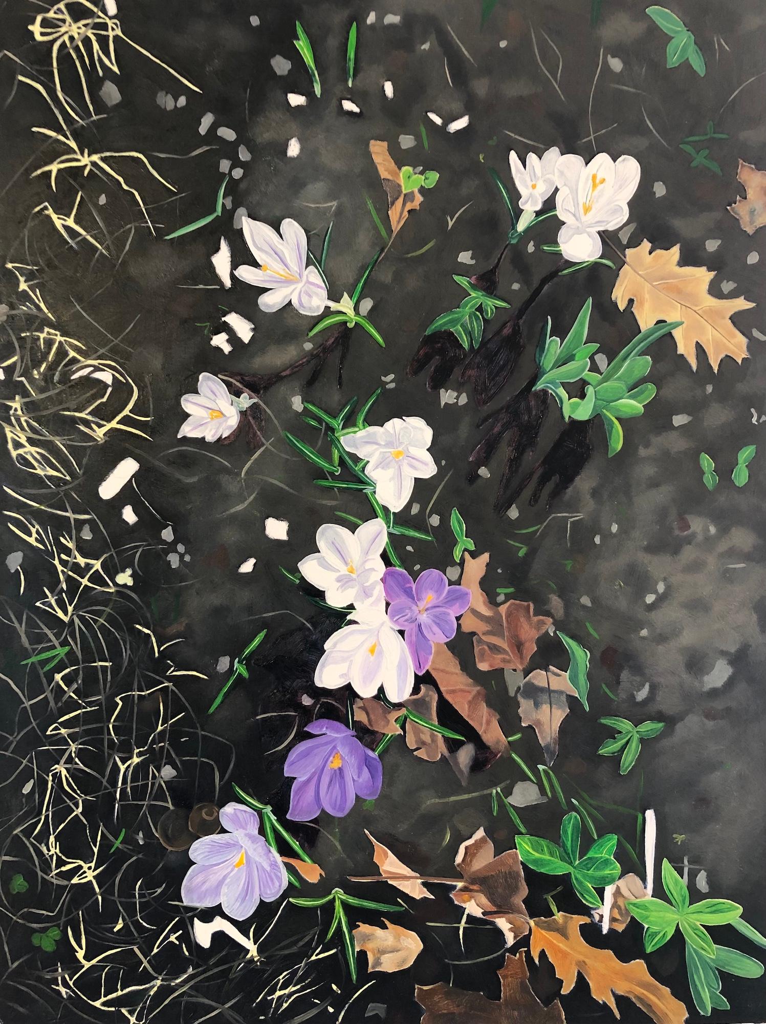 Amanda Acker Landscape Painting - Crocus Spoke, Purple, White Flowers in Dark Soil, Green Grass, Leaves, Botanical