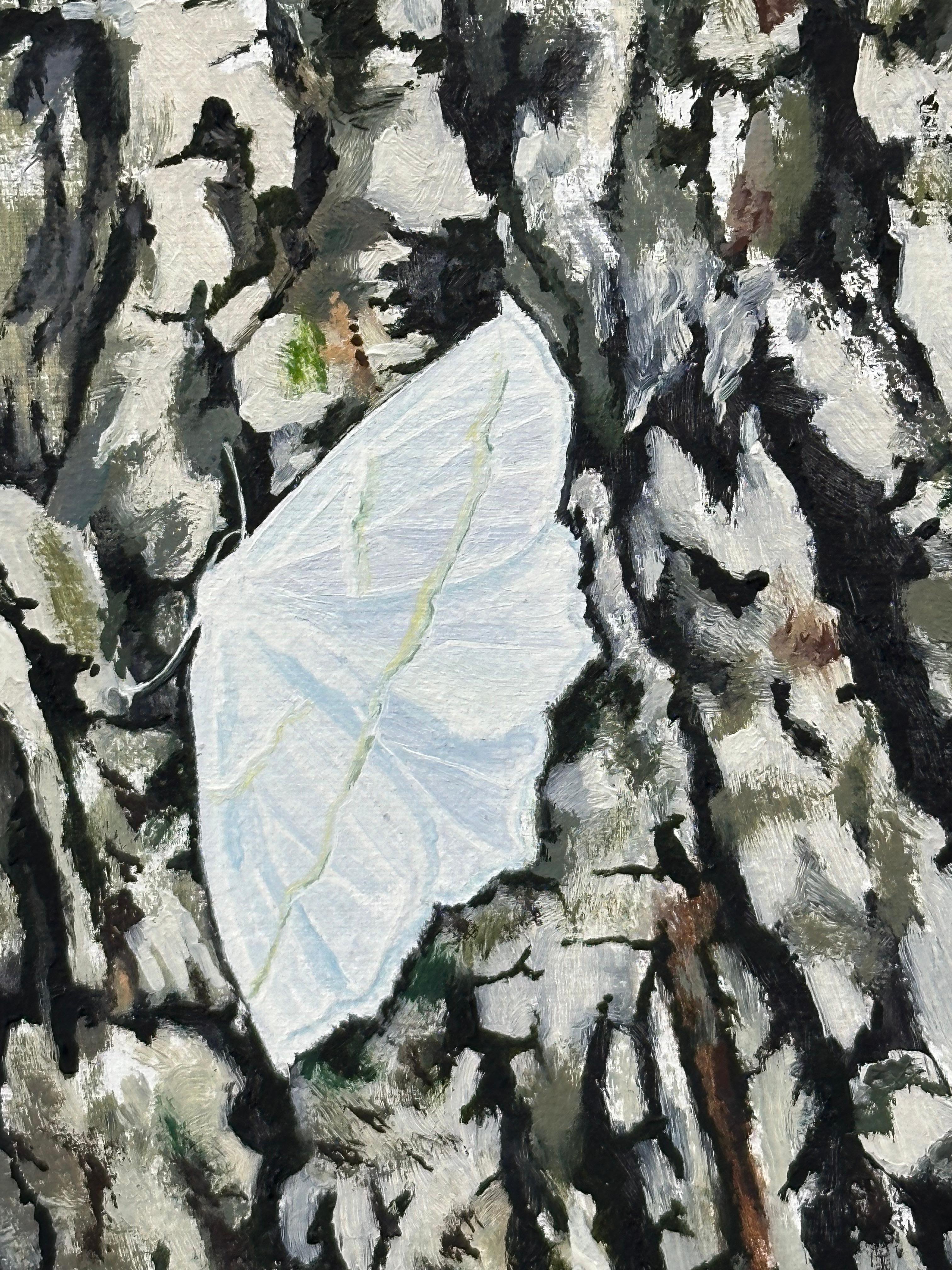 A luminous, bright white winged moth is perched on the side of a tree with gray beige tree bark. Signed, dated and titled on verso.

Amanda Acker’s nuanced oil paintings on panel give a glimpse into moments and spaces from real life. The result is