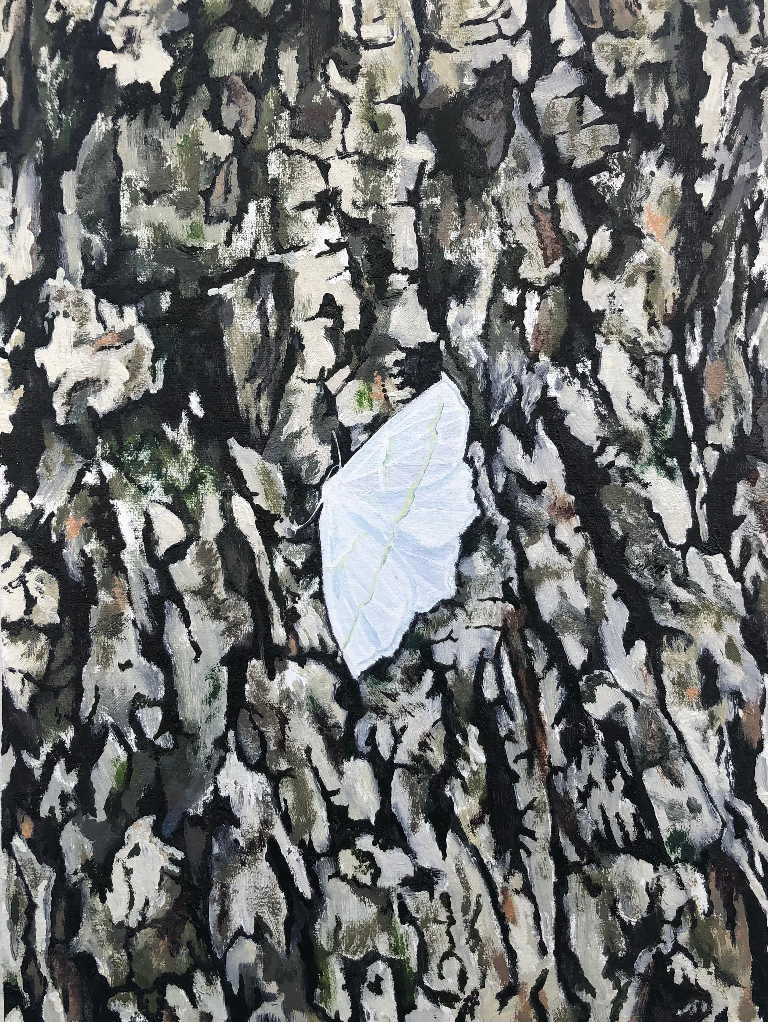 Amanda Acker Landscape Painting – Pale Schönheit, leuchtend weißes Moth auf beigegrauer Baumrinde, geflügelter Insekt, geflügelt