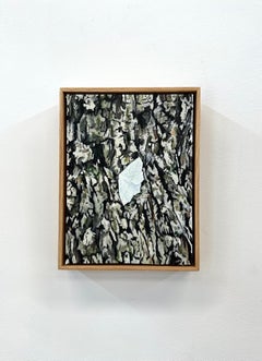 Pale Beauty - Contemporary Insect Painting White Moth on Tree, 2023