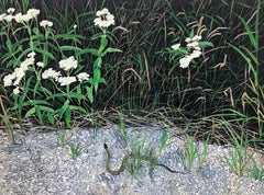 Slithering In, Garden Landscape with Snake, Green Grass, White Flowers
