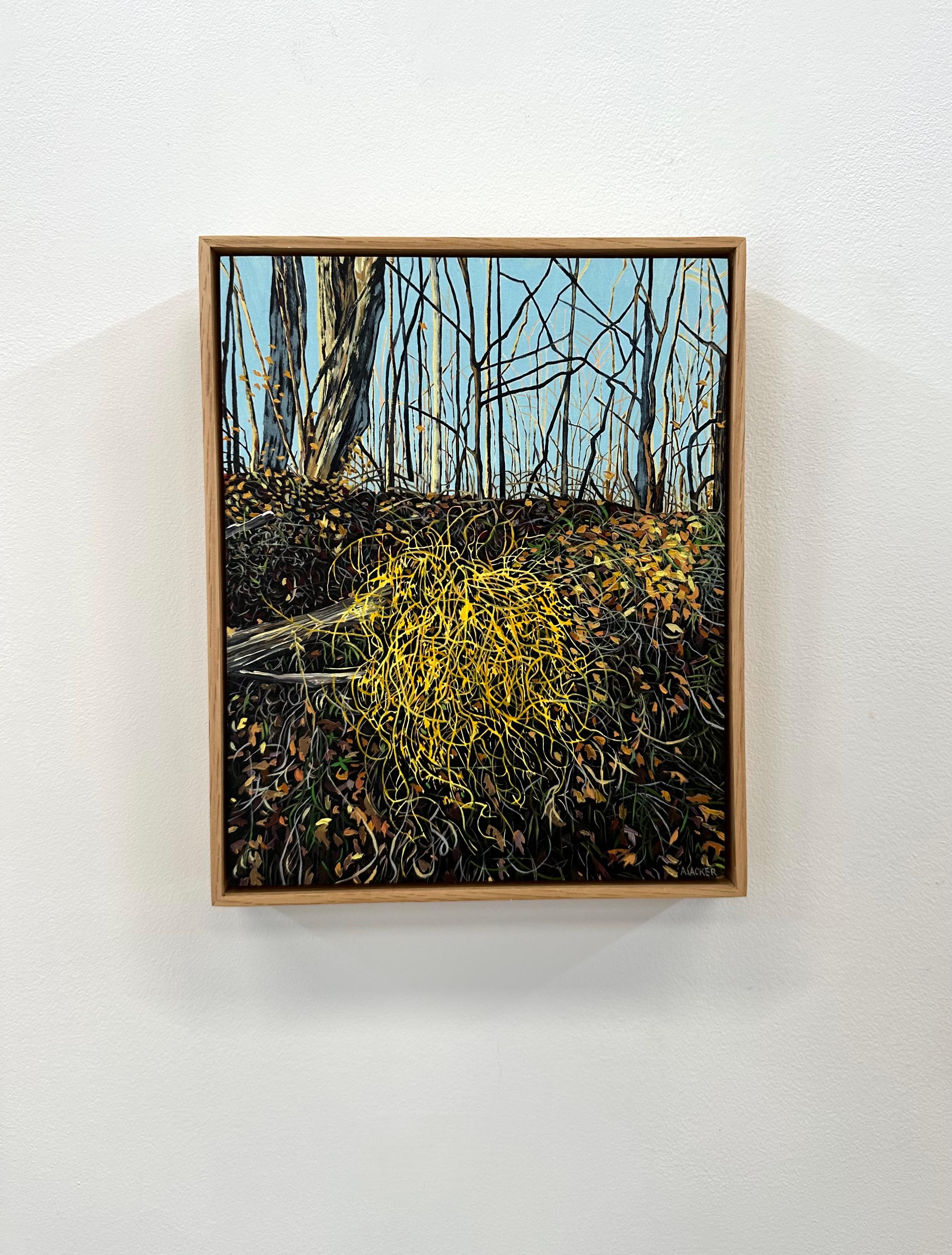 Wilder Spargel, Gelber Busch im Wald, Bäume, blauer Himmel, Blätter auf dem Boden – Painting von Amanda Acker