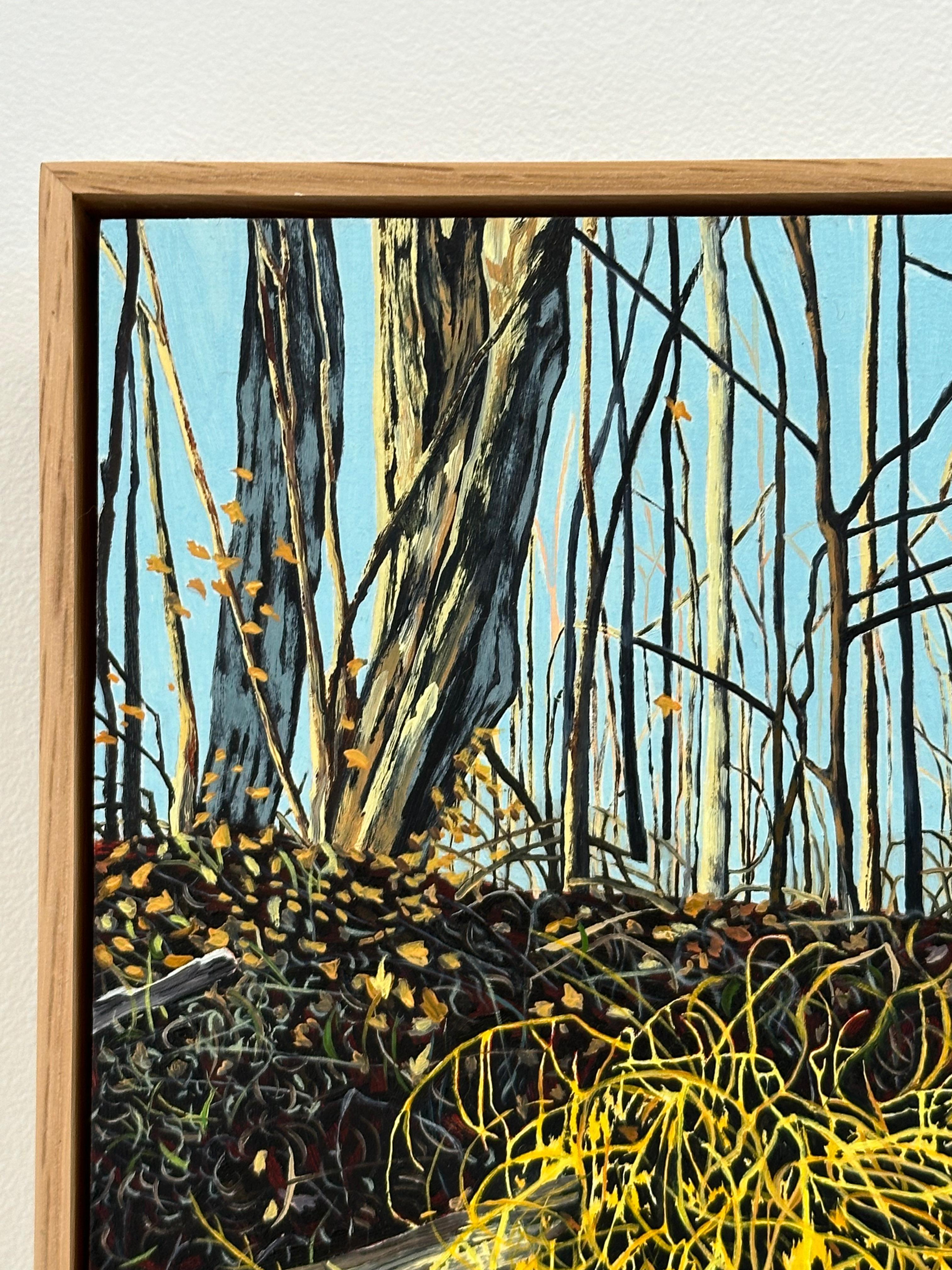Wilder Spargel, Gelber Busch im Wald, Bäume, blauer Himmel, Blätter auf dem Boden (Zeitgenössisch), Painting, von Amanda Acker