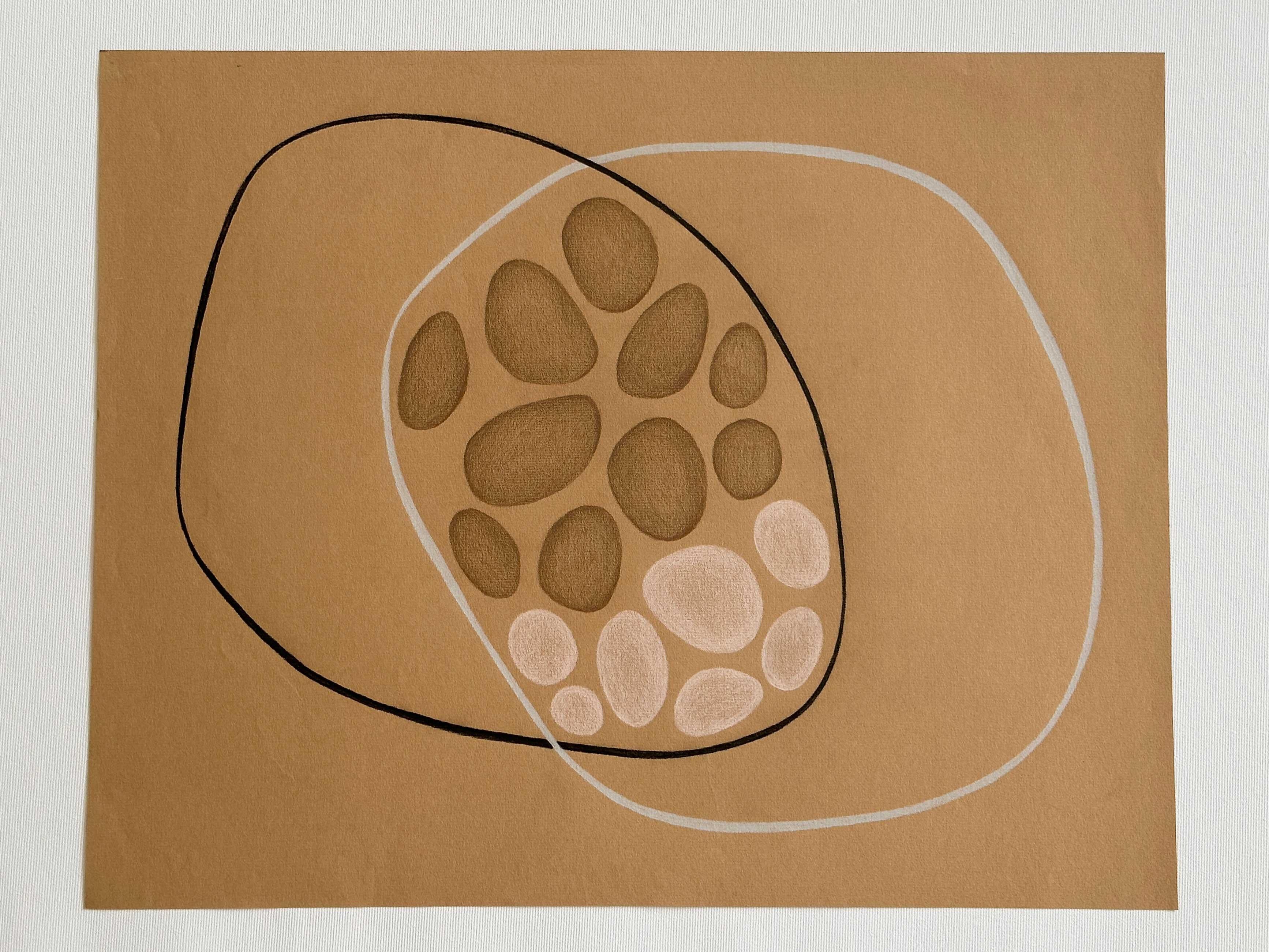 This colored pencil drawing on delicate warm brown colored paper was made in 2023 by Amanda Andersen. 
Large asymmetrical forms typical in the artists work, connect a group of shapes in the piece– similar to a collection of stones wrapped by circles
