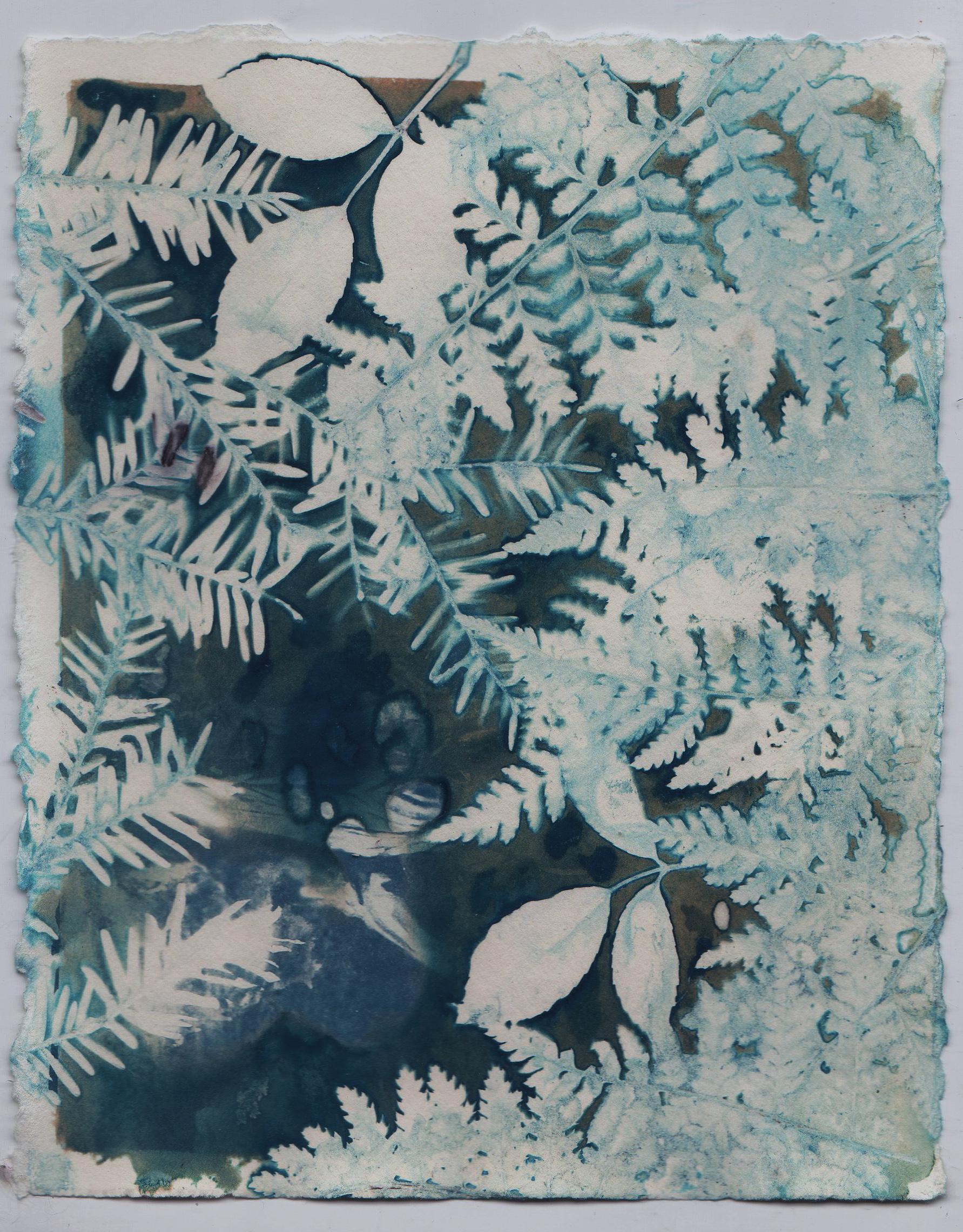 A Set of 6 Contemporary Cyanotypes in Mirrored Frames Blue White Female Artist For Sale 4