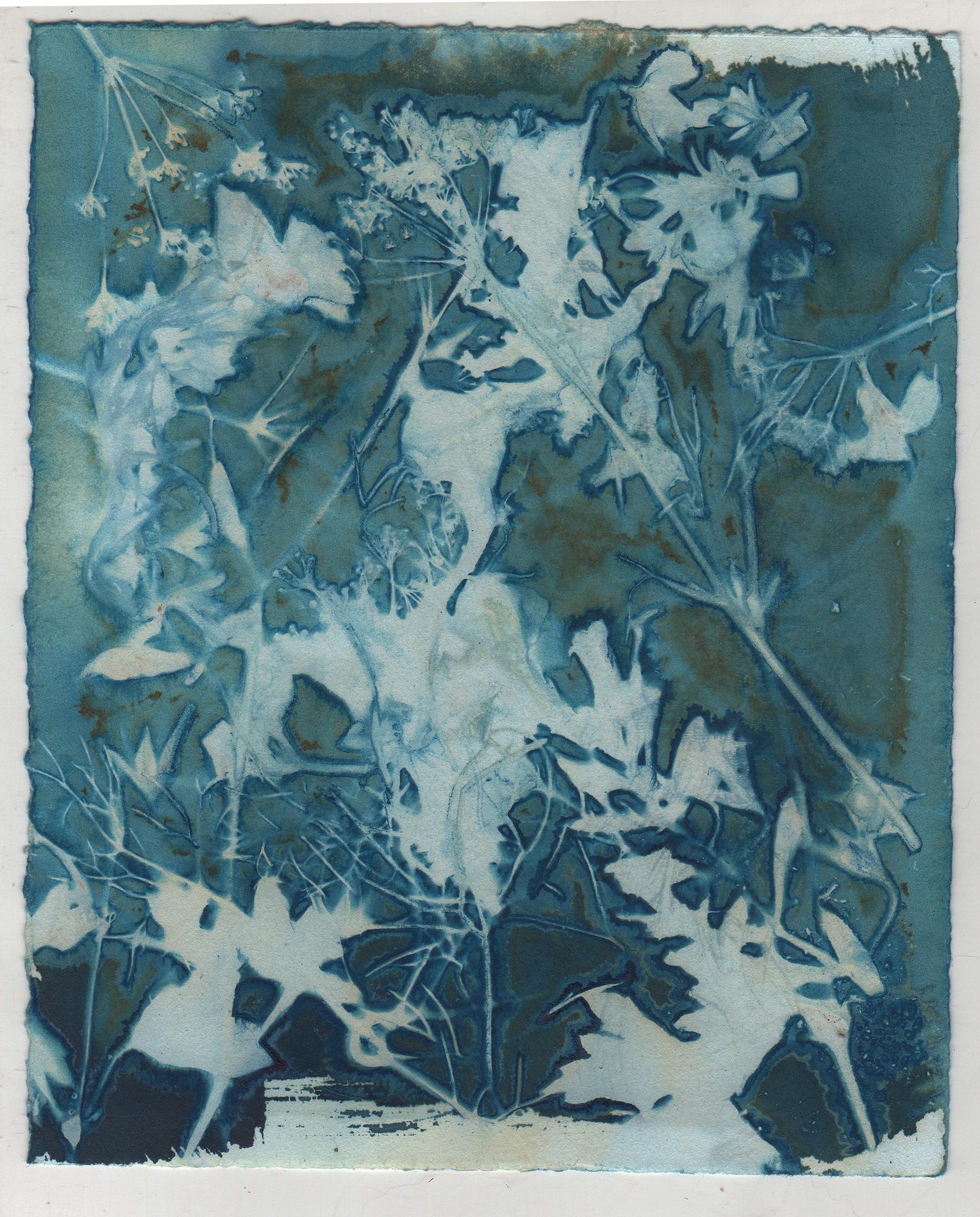 A set of  6 contemporary cyanotype prints in found mirrored frames by Amanda Besl from her most recent body of work created in 2019.  Each work measures 7