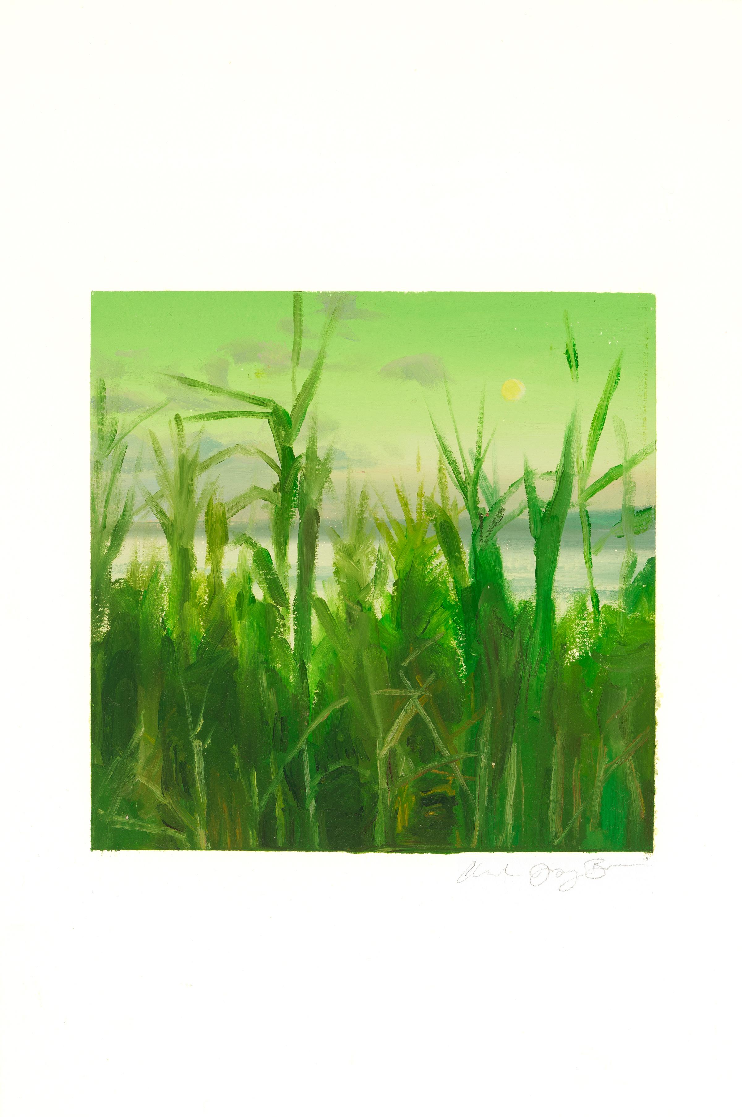 CHOCTAWHATCHEE BAY REEDS - Landscape Painting w/ Ocean & Sky - Background  Oil