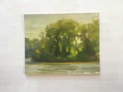 ISLAND-PERCY PRIEST - Landscape Painting of Nashville Tennessee Lake - Oil