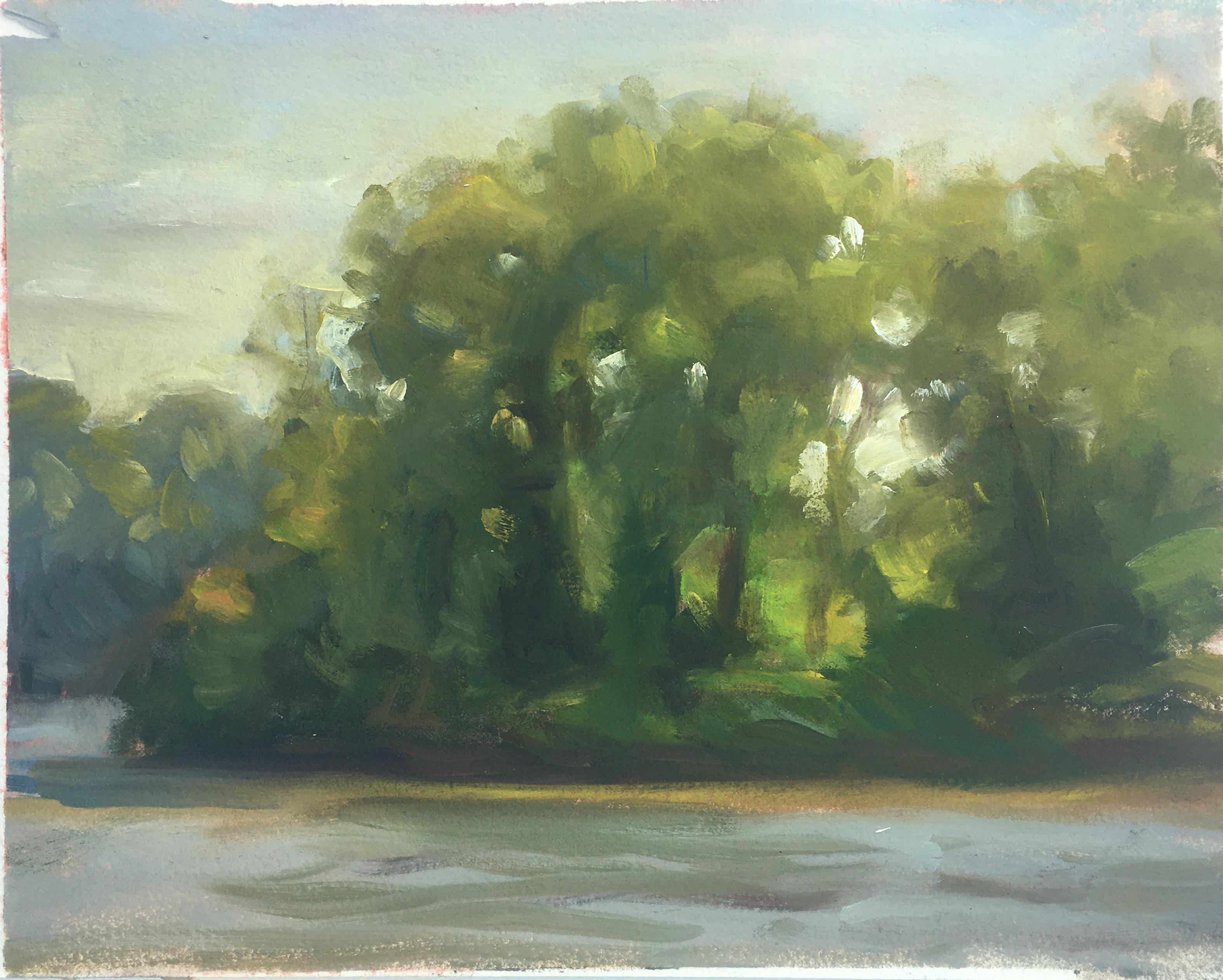 ISLAND-PERCY PRIEST - Landscape Painting of Nashville Tennessee Lake - Oil 