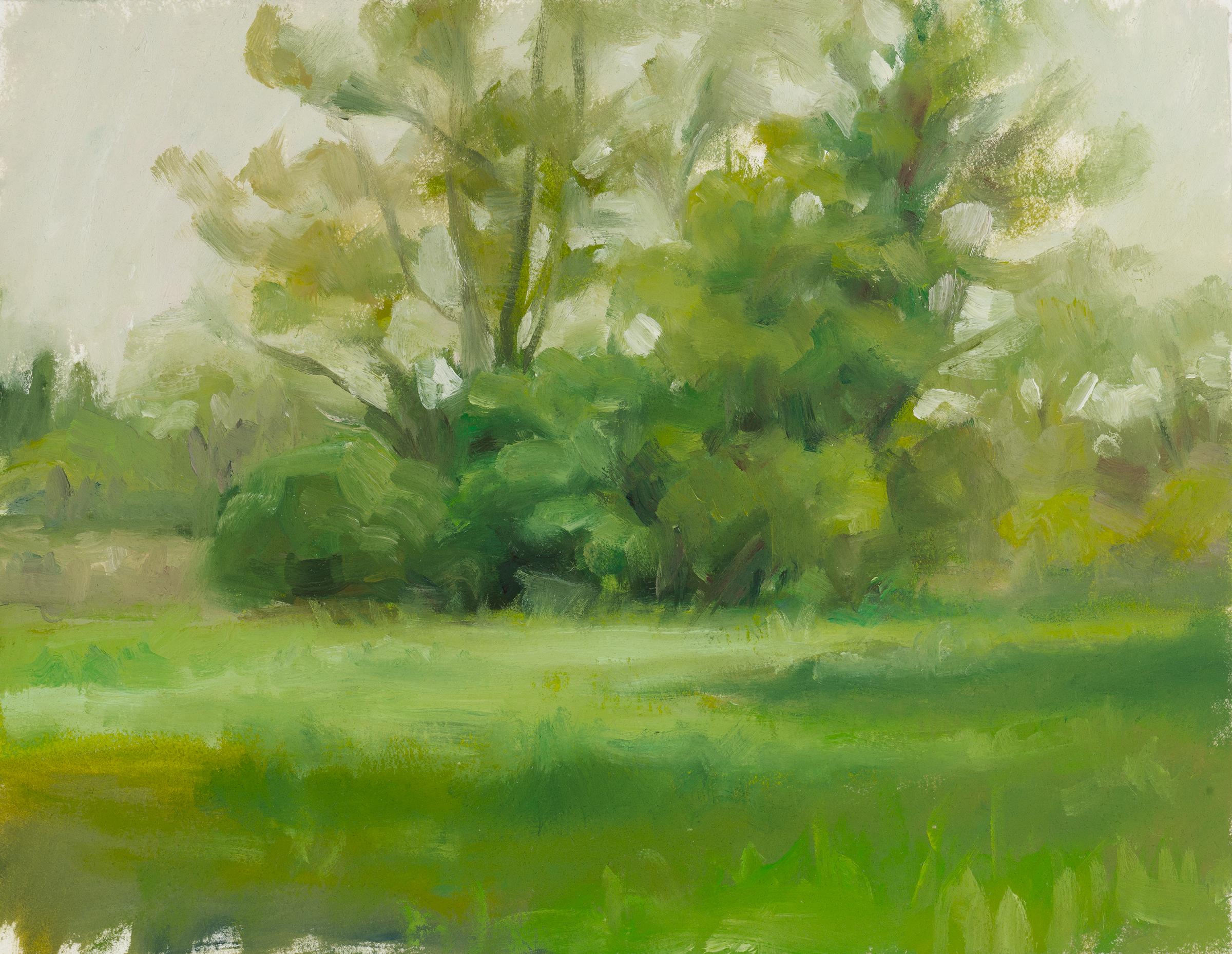 Amanda Joy Brown Landscape Art - PEELER PARK GROVE - Landscape Painting of Trees, Field, & Sky - Oil on Arches