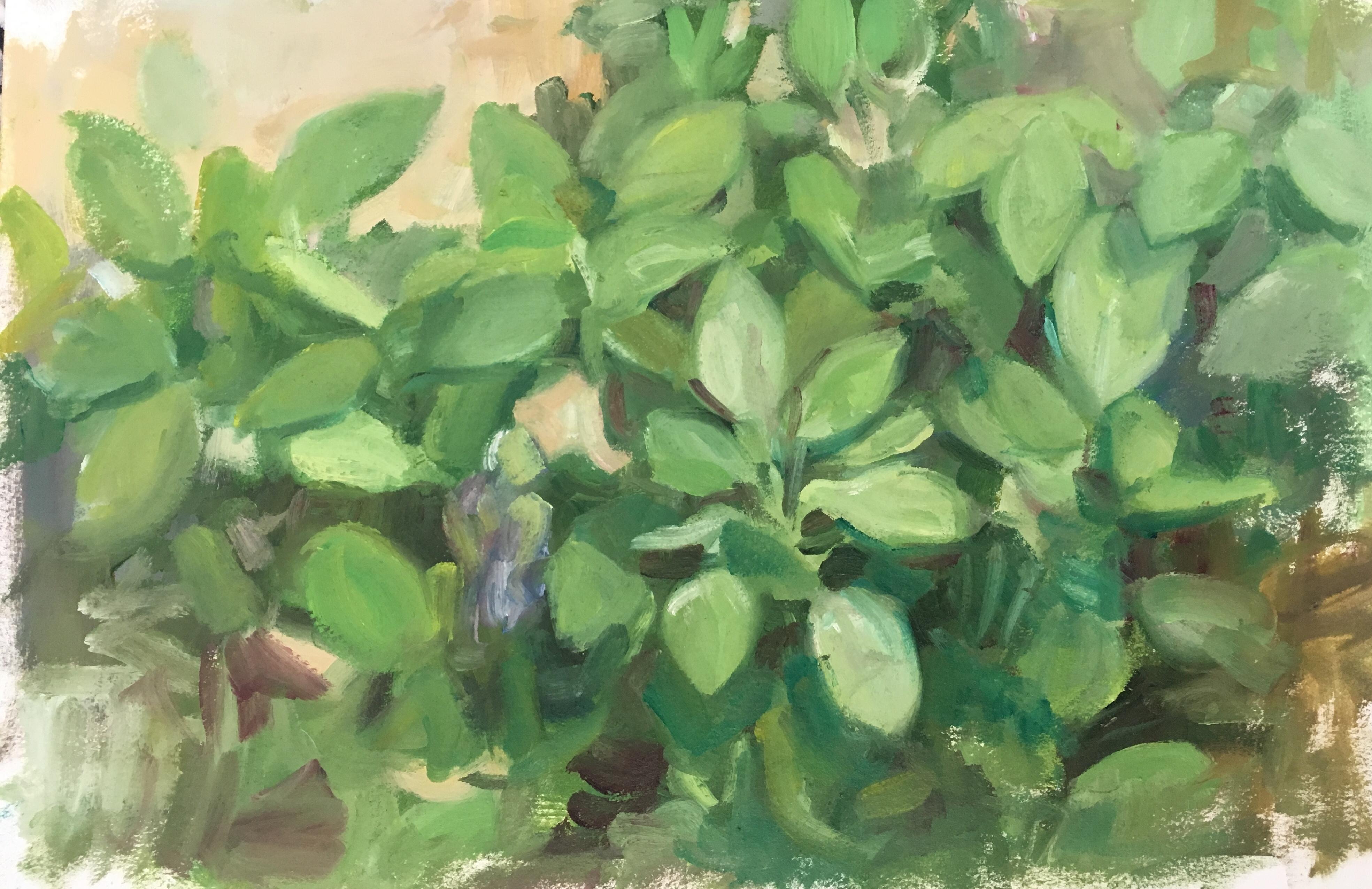 SAGE - Peinture de paysage/nature morte de sauge vert  Huile sur papier à l'huile - Arches