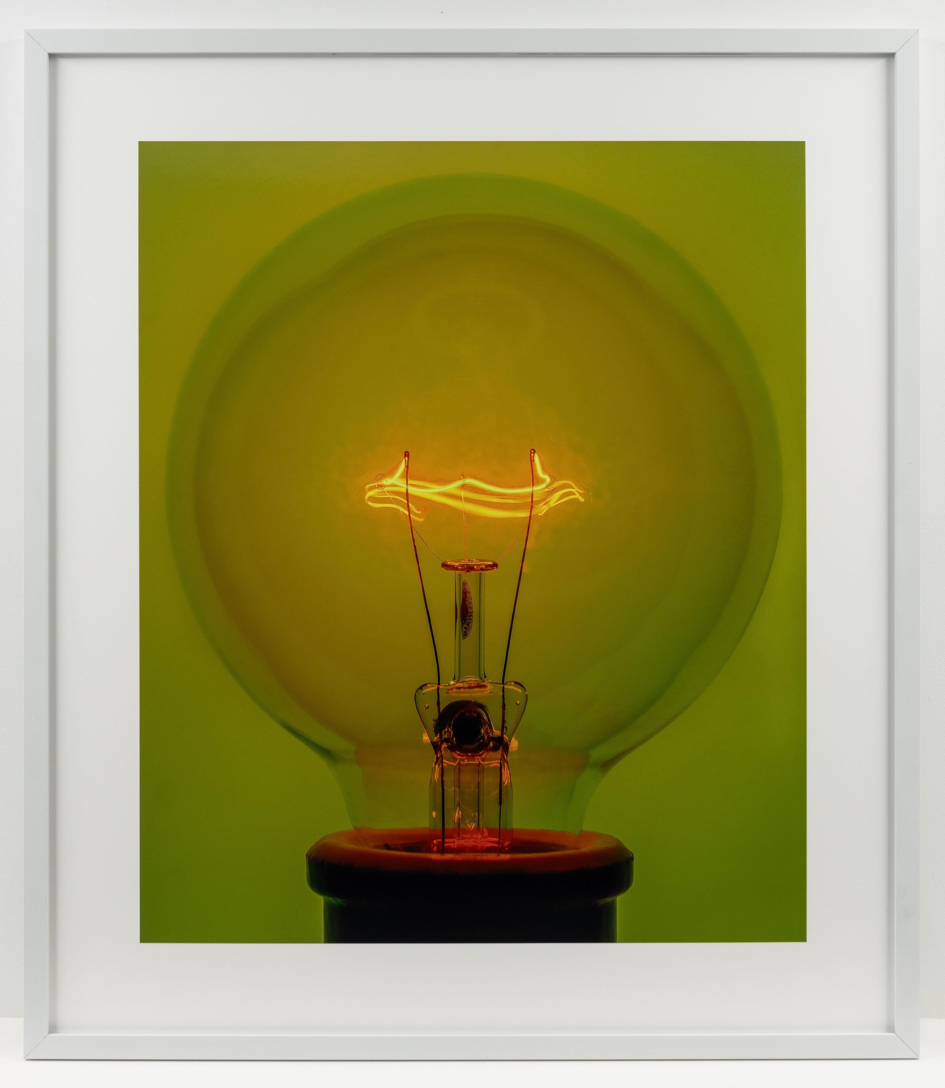 Ampoule 2, photographie couleur d'une ampoule d'Edison par Amanda Means en vente 1