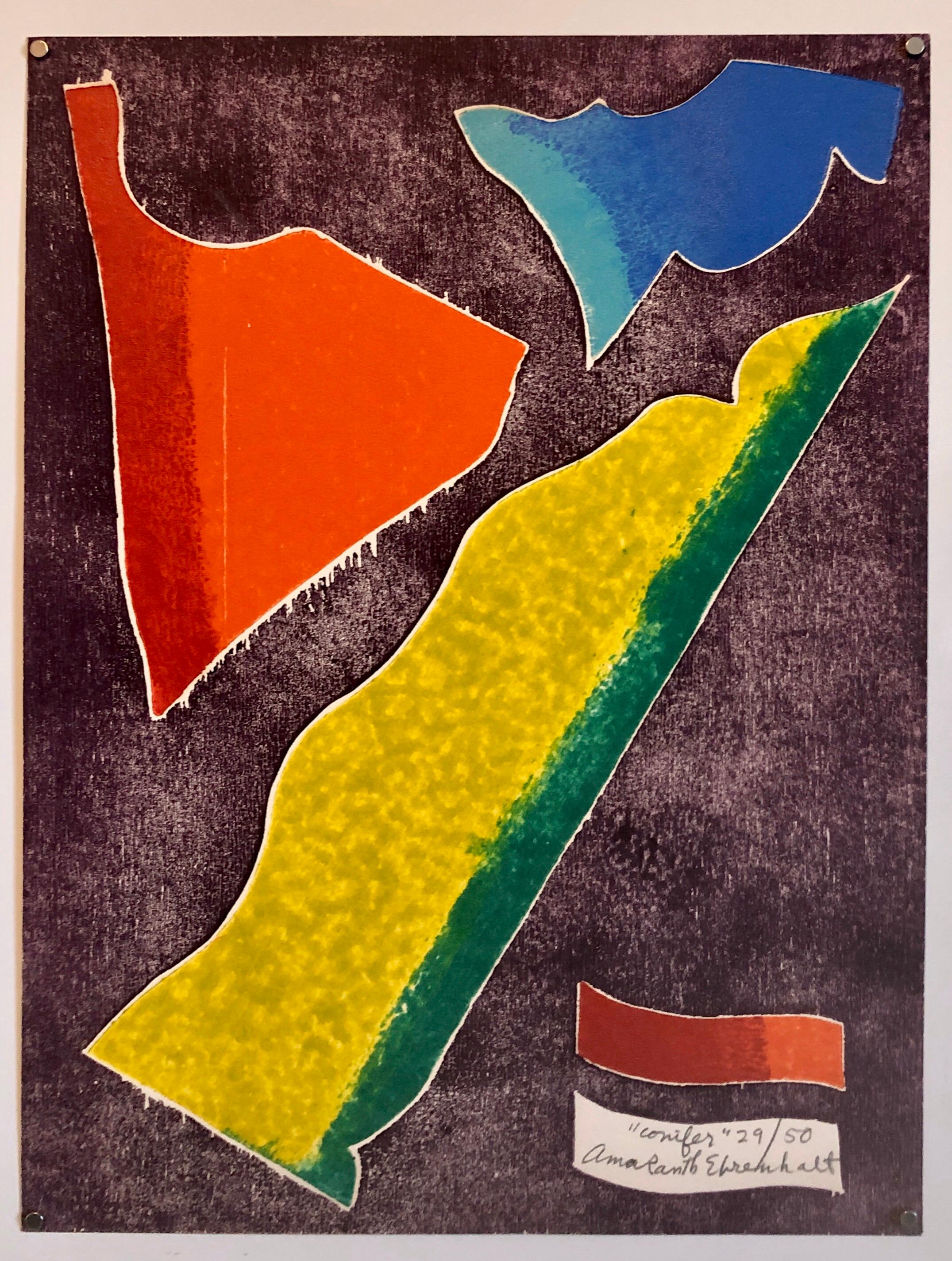 Color Embossed Lithograph Print New York Abstract Expressionist Woman Artist - Black Abstract Print by Amaranth Ehrenhalt