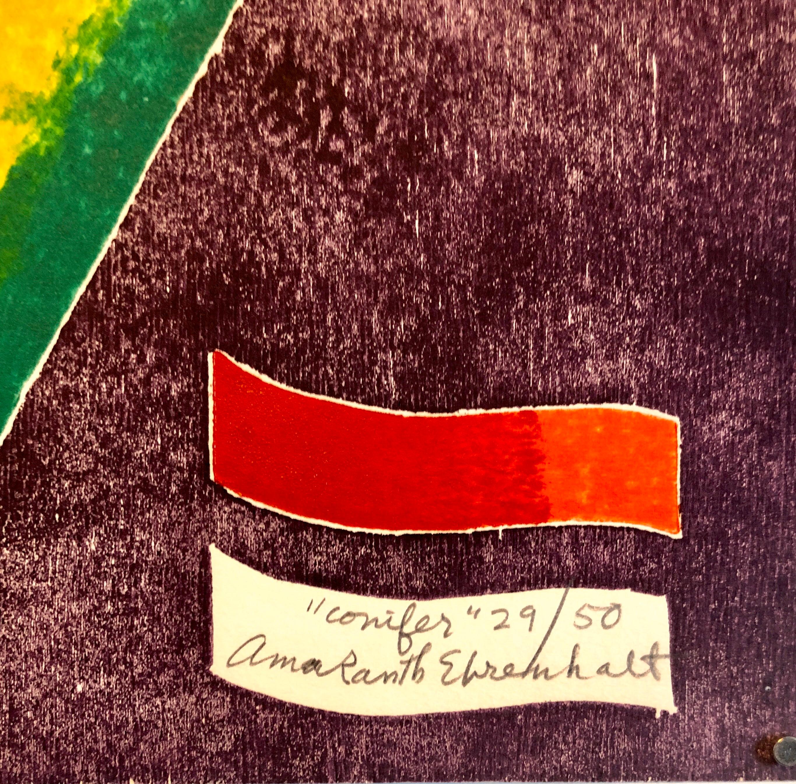 This print depicts a non-objective composition of organic shapes rendered in vibrant hues of color upon a field of a cool grey. This relief print is hand signed and titled to the lower right corner of the picture plane. From the limited edition of