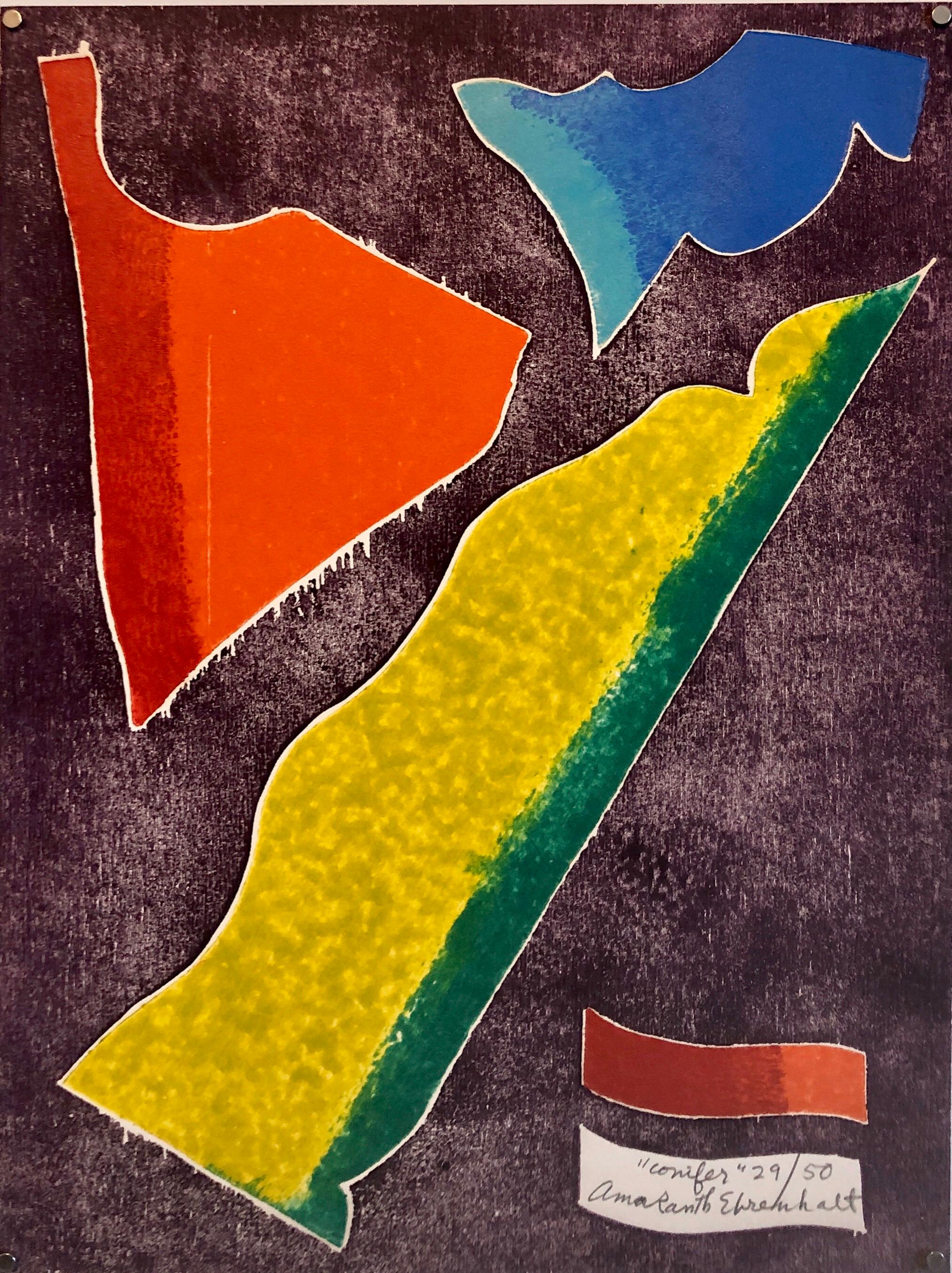 Amaranth Ehrenhalt Abstract Print – Farbgeprägte Lithographie, Druck, New York, Künstlerin des abstrakten Expressionismus, Farbe