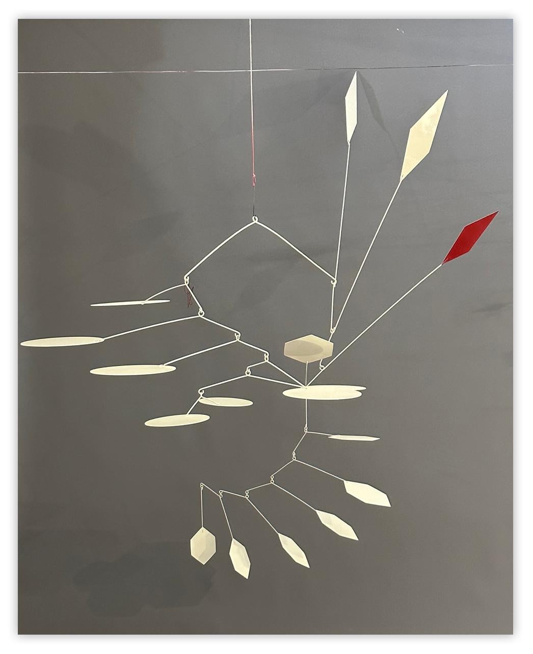 Aluminum sheet, metal wire and acrylic - mobile

"Limited edition of 3
1/3
Available on request- 3 week turnaround"

Amaury Maillet is a self-taught artist who explored art in Provence and Saint Martin in his childhood. He honed his drawing,