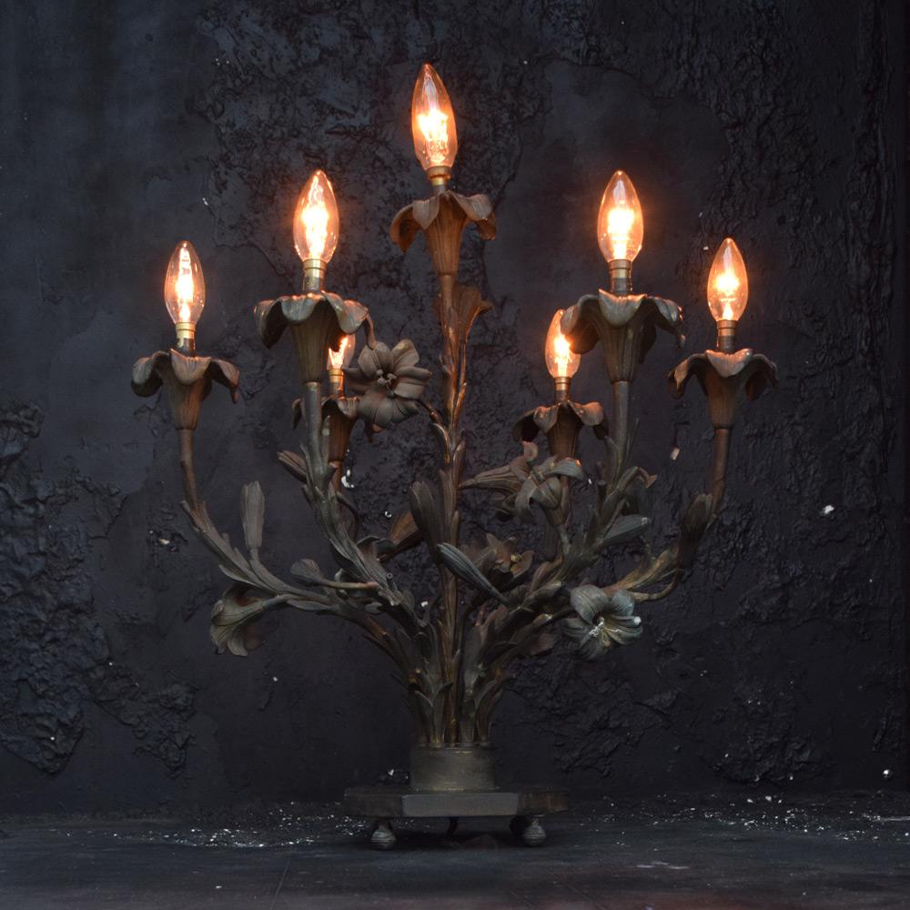 Amazing 19th century bronze floral lamp 

One of the most elegant and well-crafted pieces of interior lighting we have uncovered. Made from hand crafted bronze sections, this 7-stem lamp is covered with flowers with hand crafted pollen sections,