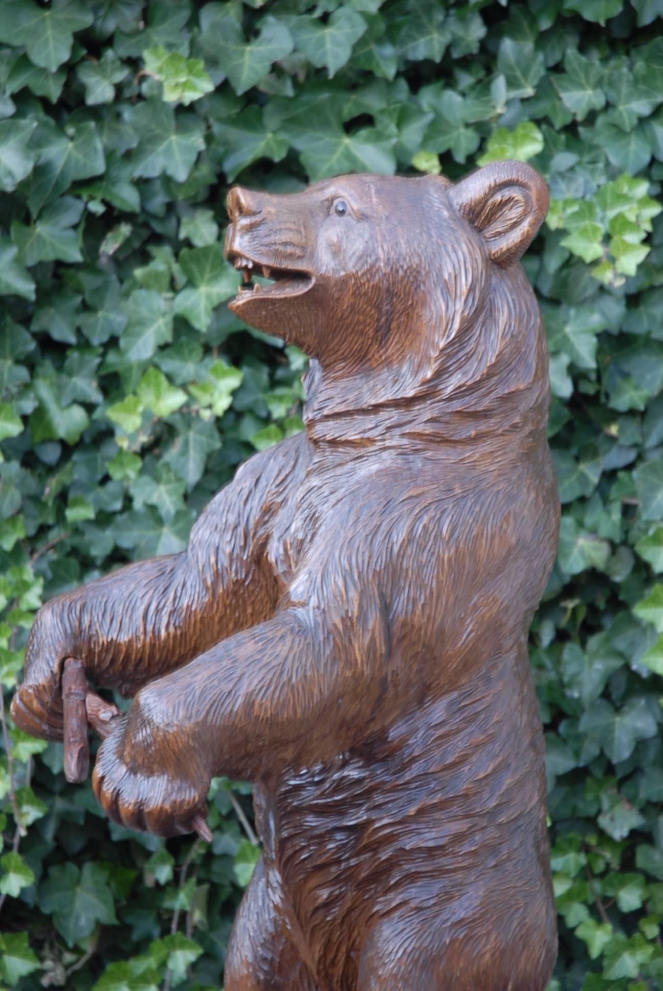 Late 19th Century Amazing & All Hand-Carved Swiss Black Forest Standing Bear Umbrella & Cane Stand