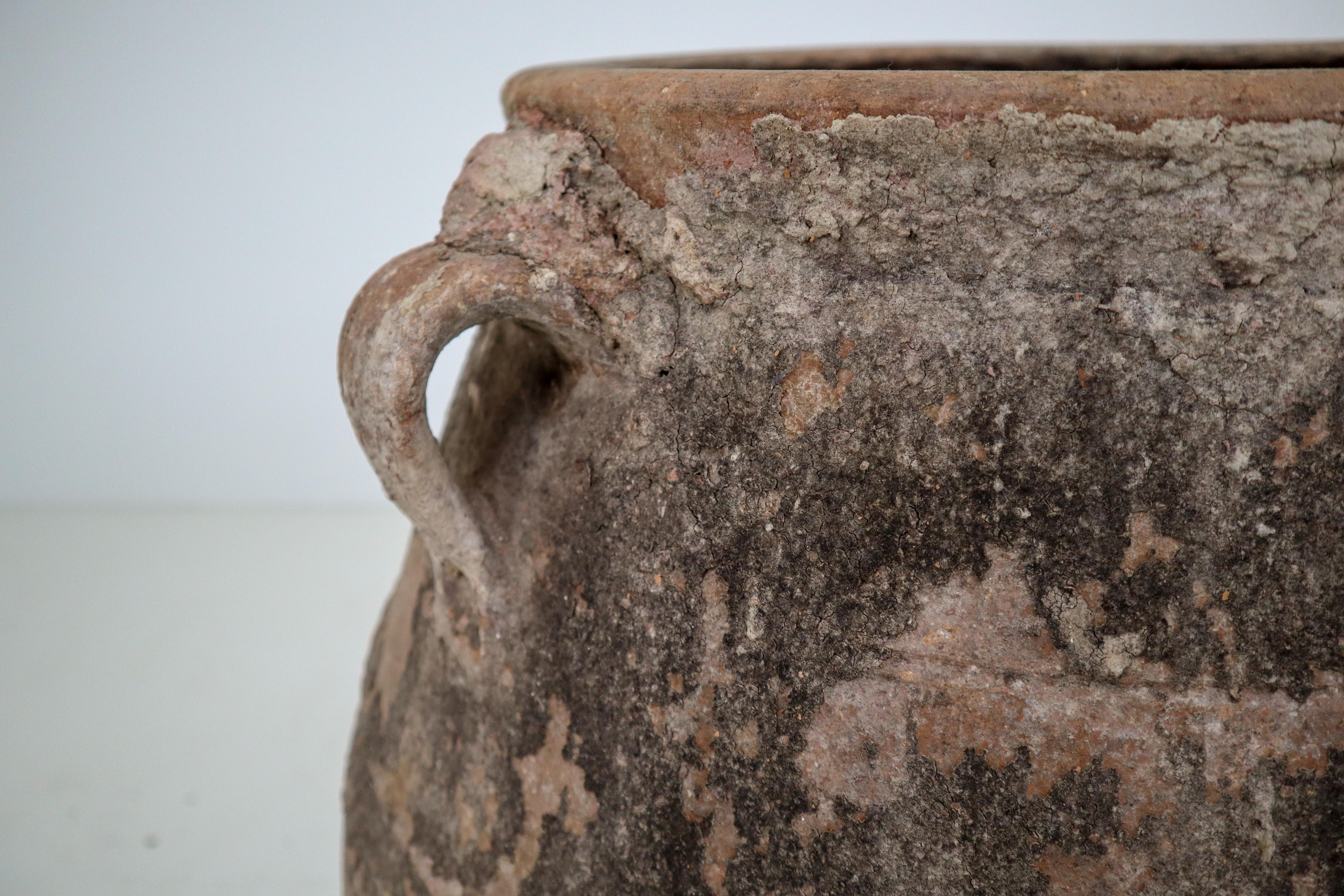 Amazing Big-Size Greek Patinated Terracotta Jar from the Late 19th Century 2