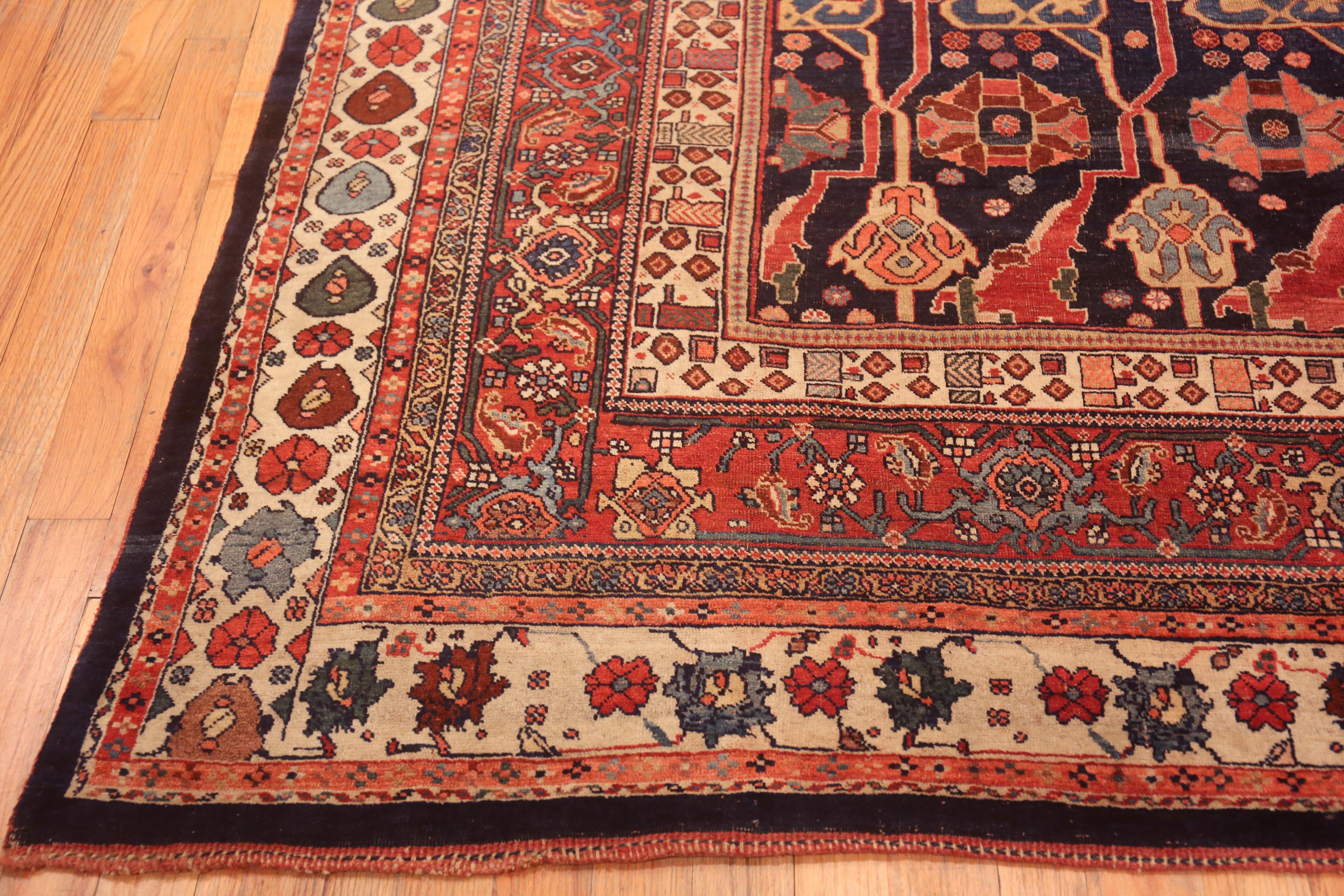 Perse Superbe tapis persan ancien Bidjar à fond bleu 11'10
