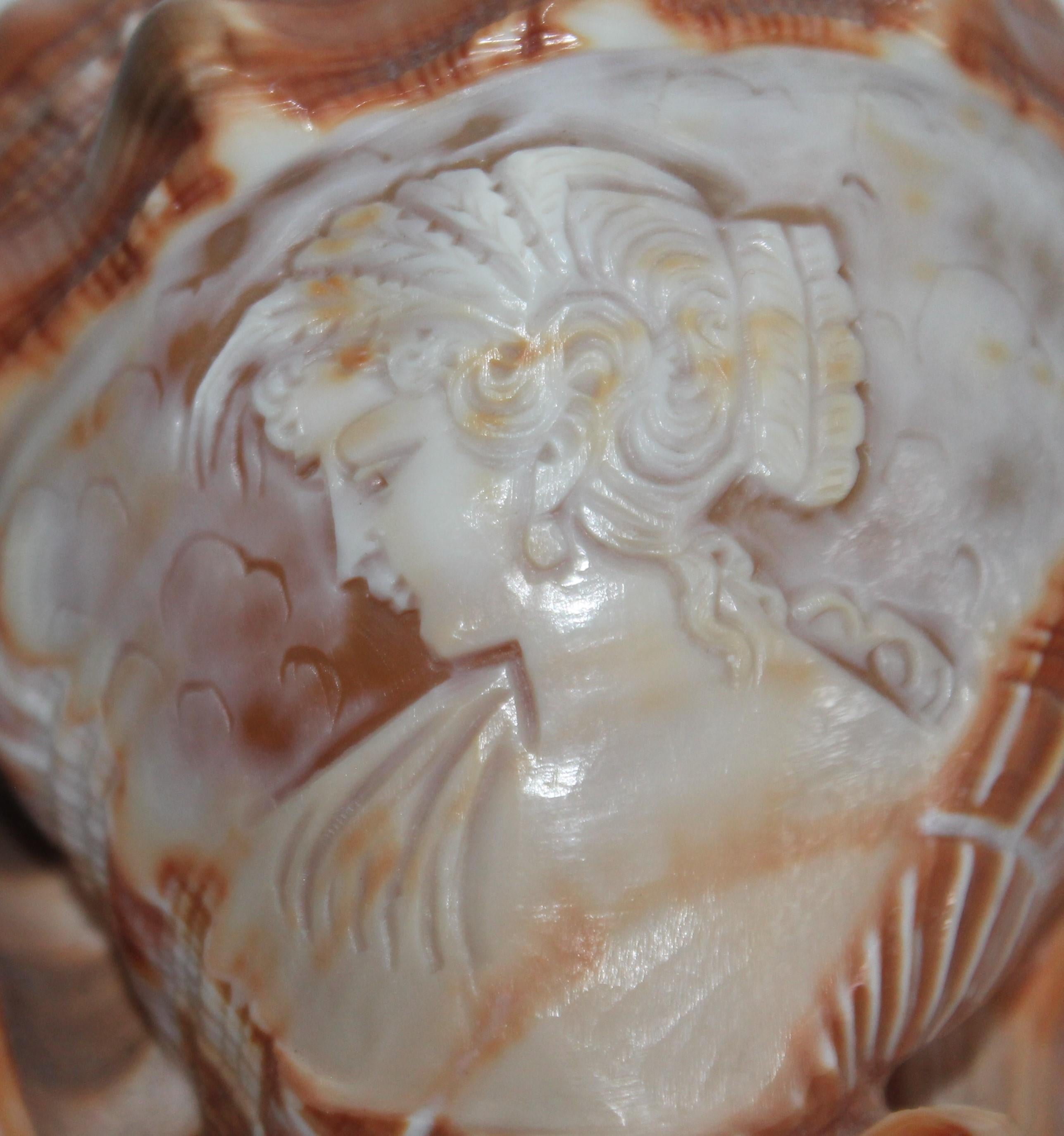 This fantastic hand carved shell with a girl carved out. Fine condition.