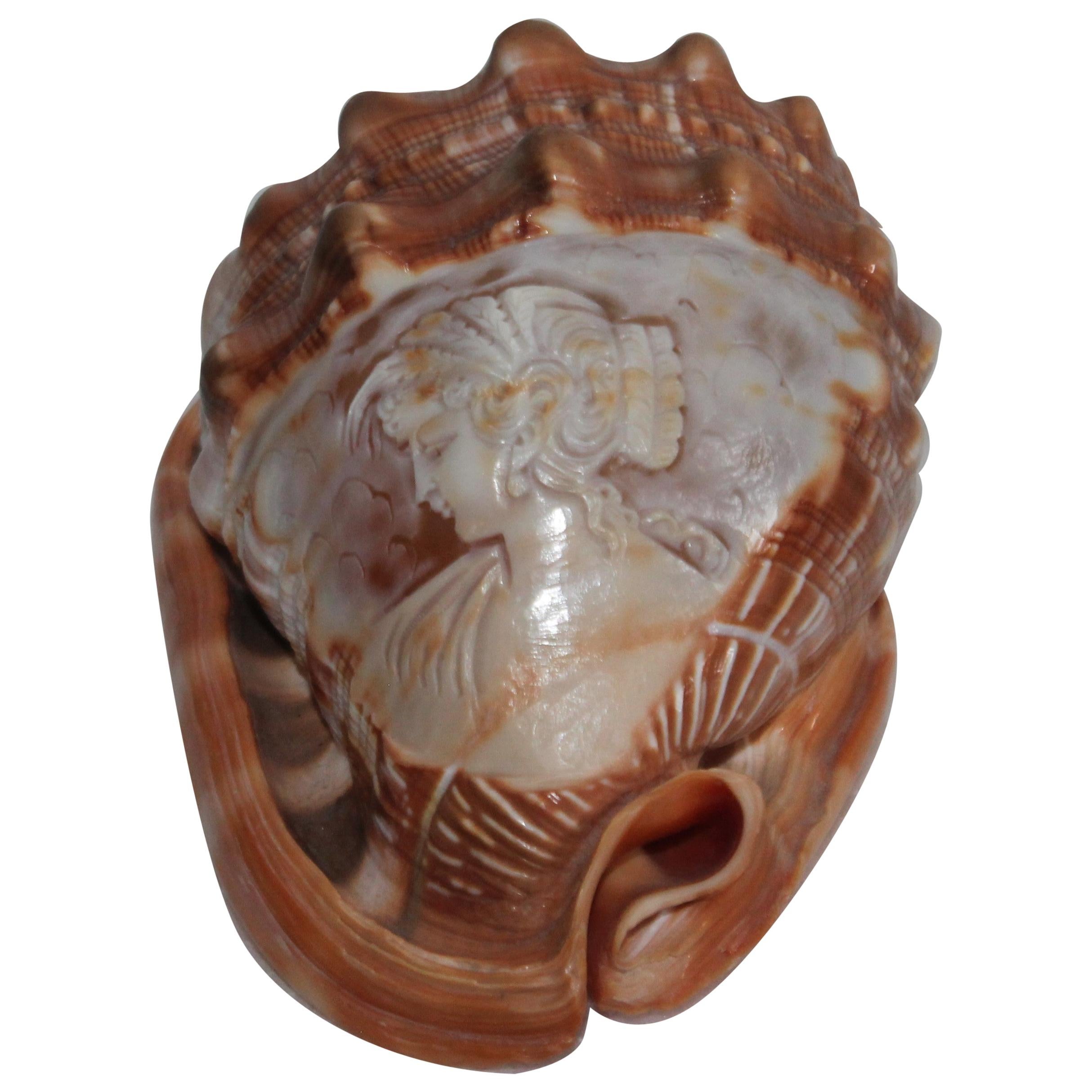 Amazing Cameo Carved Shell