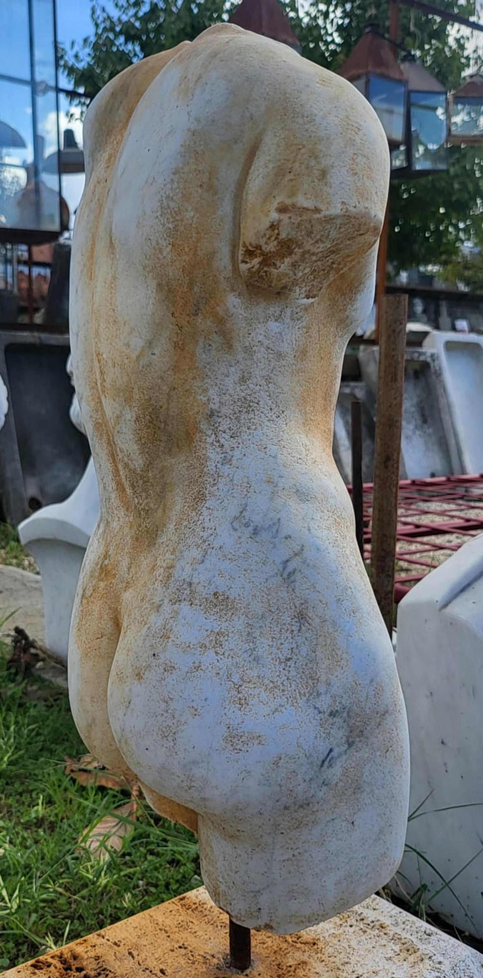 AMAZING CARRARA MARBLE ROMAN TORSO 19th Century Italiano en venta