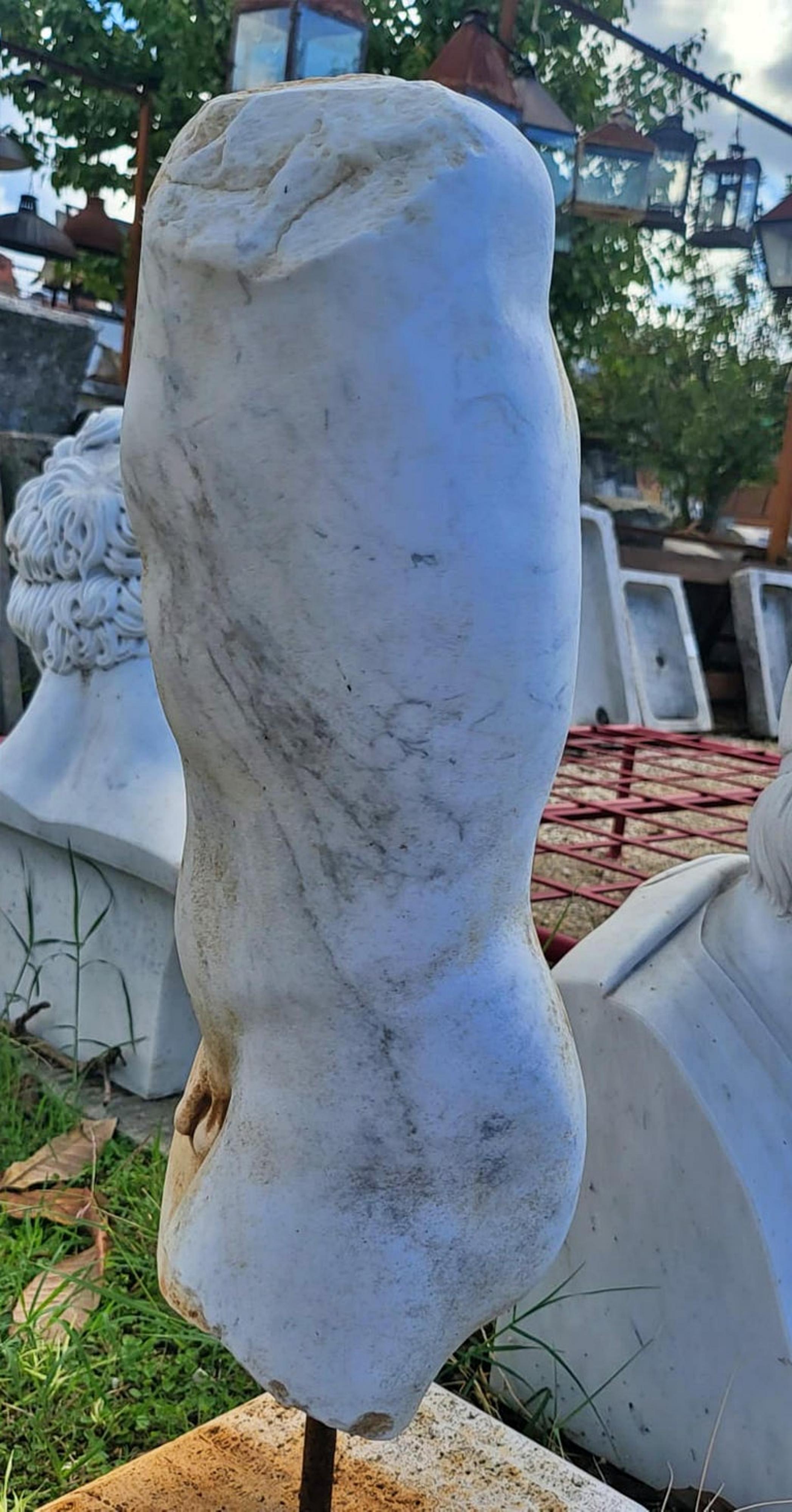 AMAZING CARRARA MARBLE ROMAN TORSO 19th Century Hecho a mano en venta