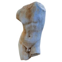 STUPENDO TORSO ROMANO IN MARMO DI CARRARA XIX secolo