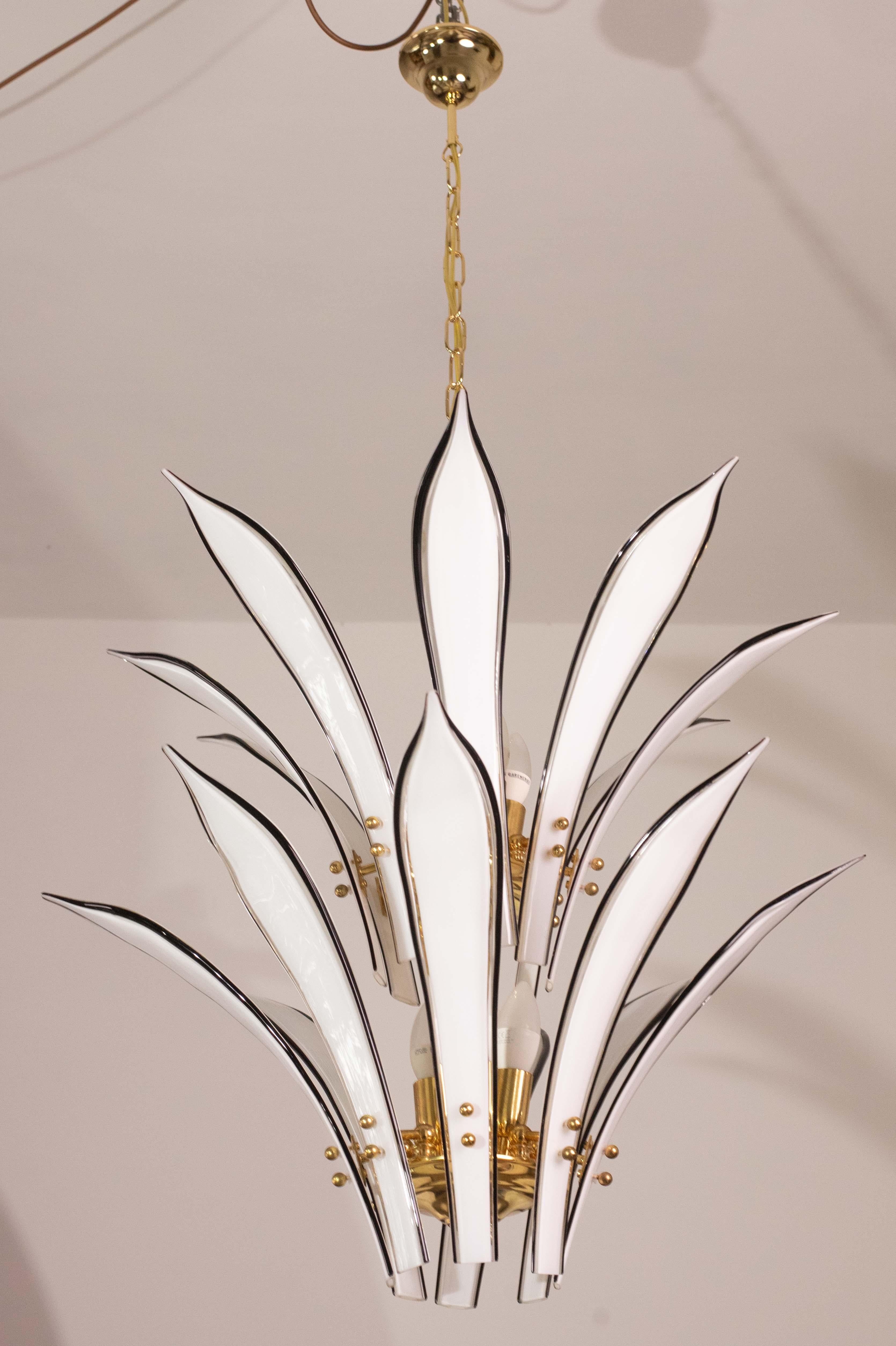 Murano glass chandelier with beautiful palm-shaped leaves in white with black border.

The palms are developed in two levels, 8 palms per level for a total of 16 palms.

The chandelier mounts 8 lights e14, possibility of wiring for Usa.

The