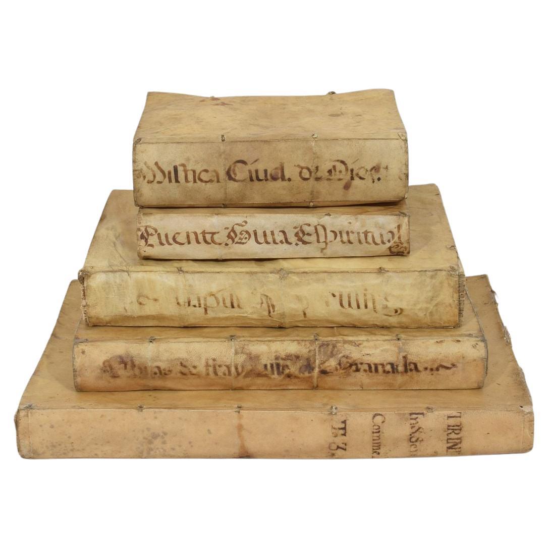 Amazing Collection of 17th / 18th Century Weathered Vellum Books