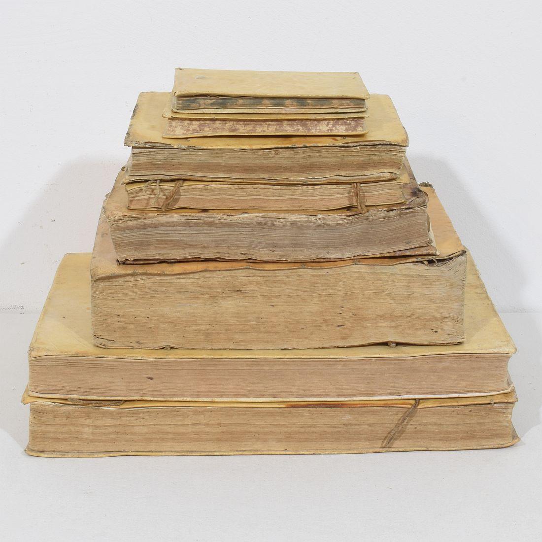 Étonnante Collection de livres en Vellum du 17ème / 19ème siècle, altérés par les intempéries État moyen - En vente à Buisson, FR