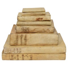 Incredibile collezione di libri in Vellum invecchiati del 17° e 19° secolo