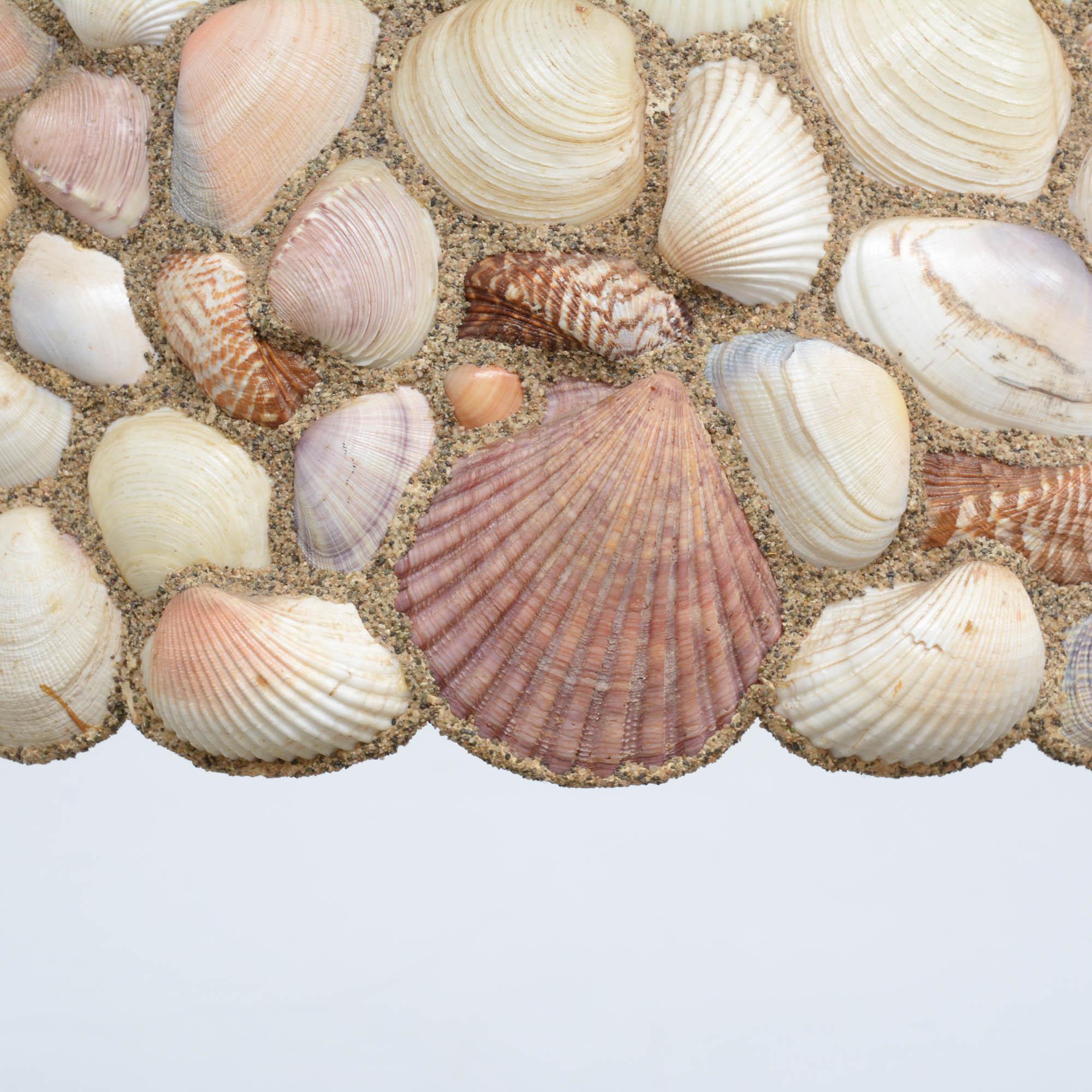 Amazing Dome Seashell Chandelier 1
