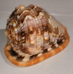 Étonnant camée féminin sculpté dans un coquillage