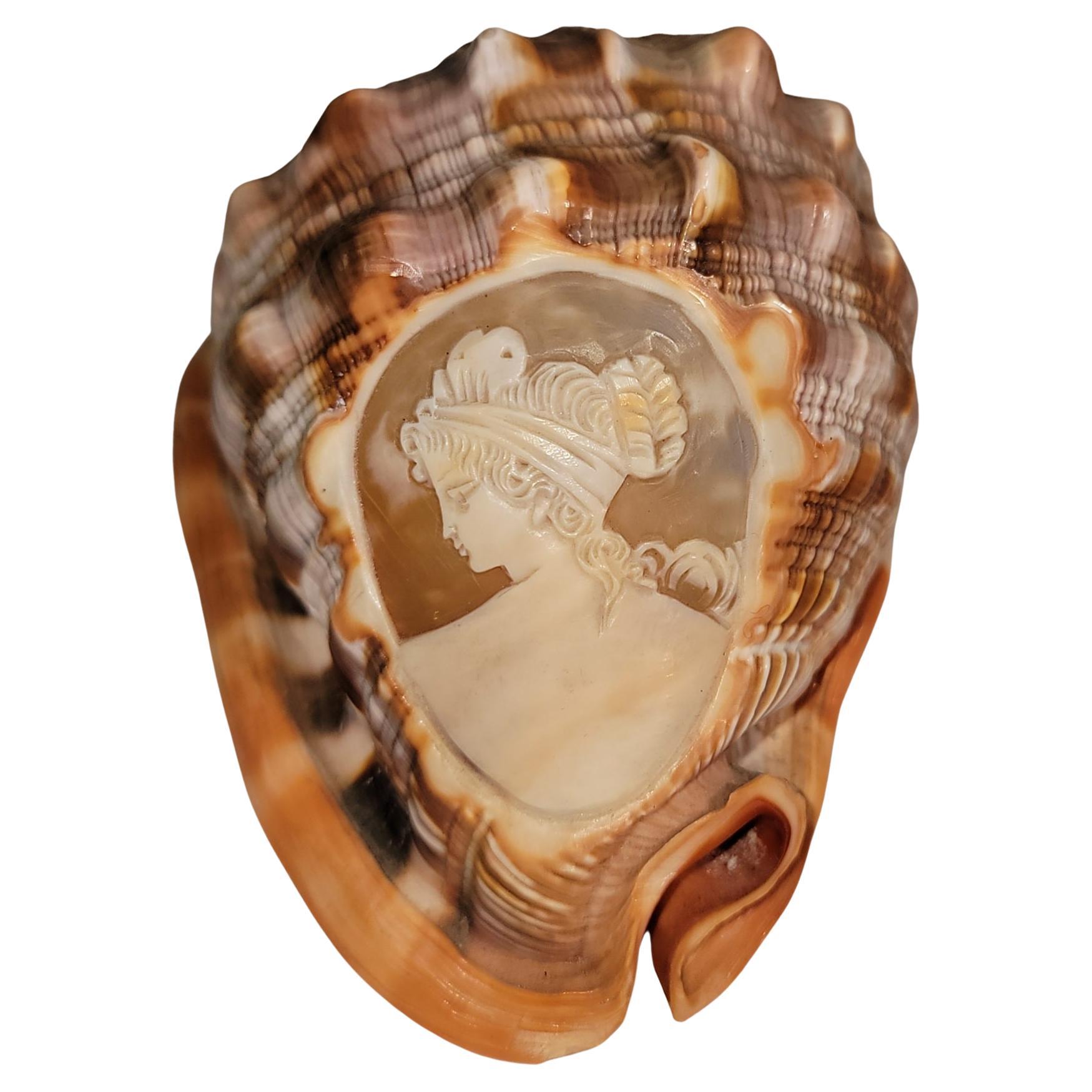 Amazing Female Cameo Carved Shell