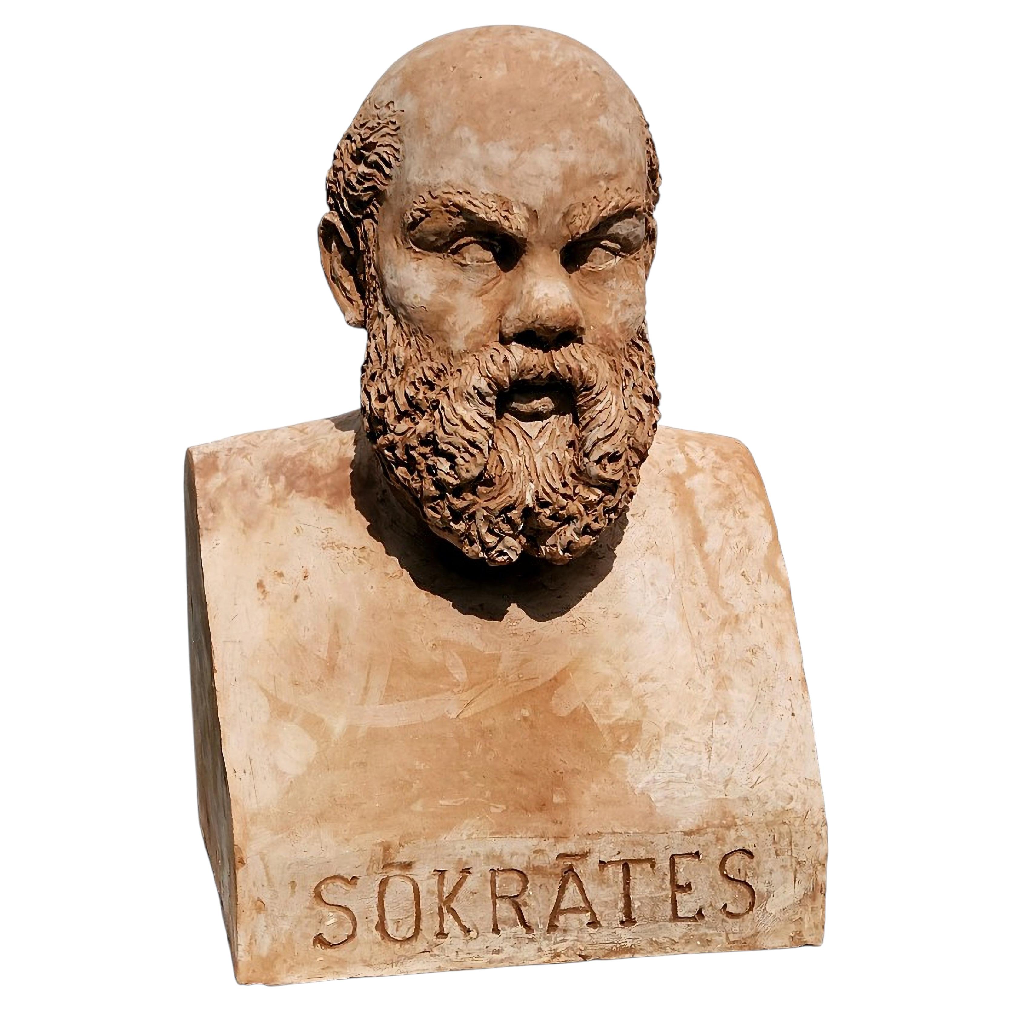 Asombrosa SOCRATE ERMA de terracota hecha a mano Siglo XXI en venta