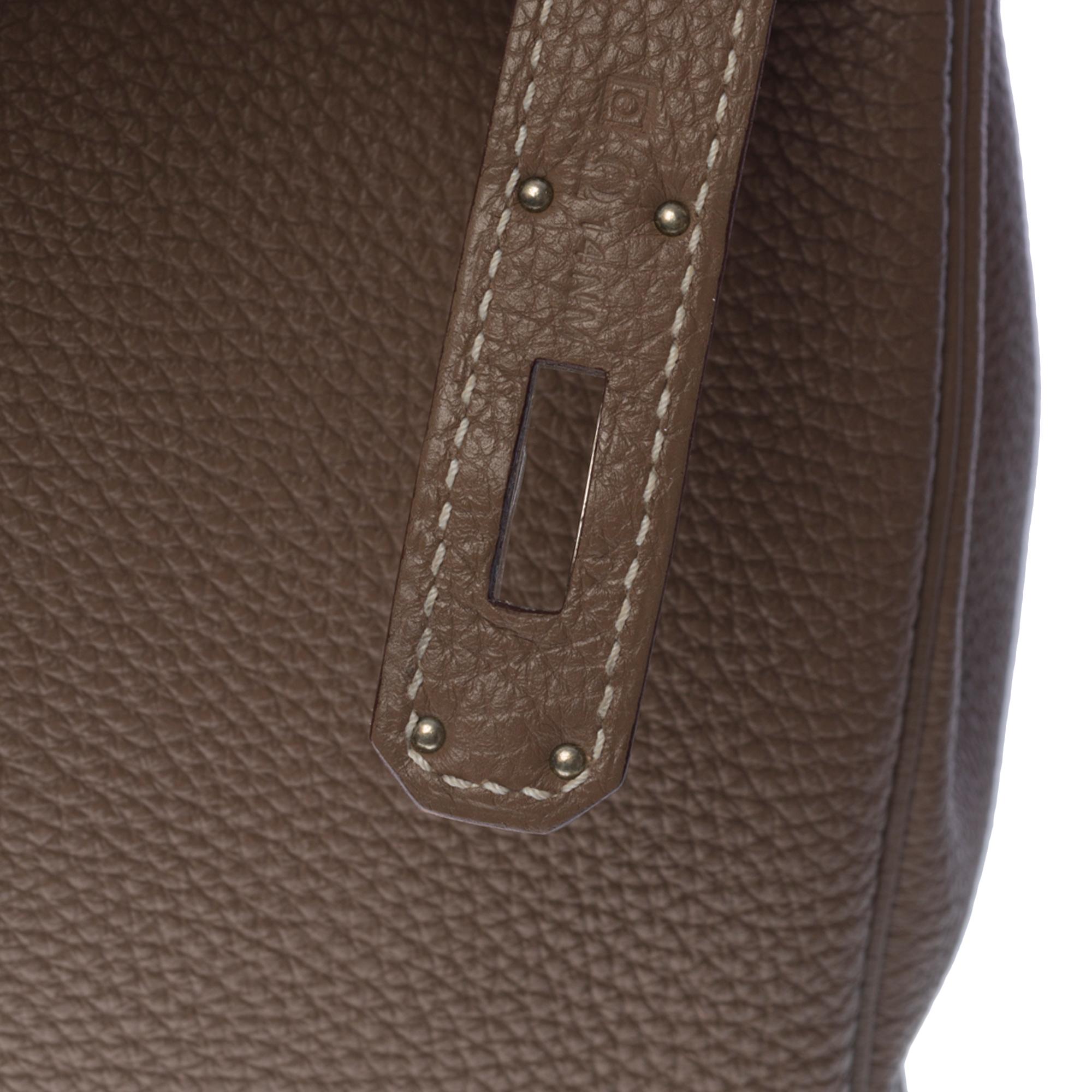 Brown Amazing Hermès Birkin 30 handbag in etoupe Togo leather, SHW