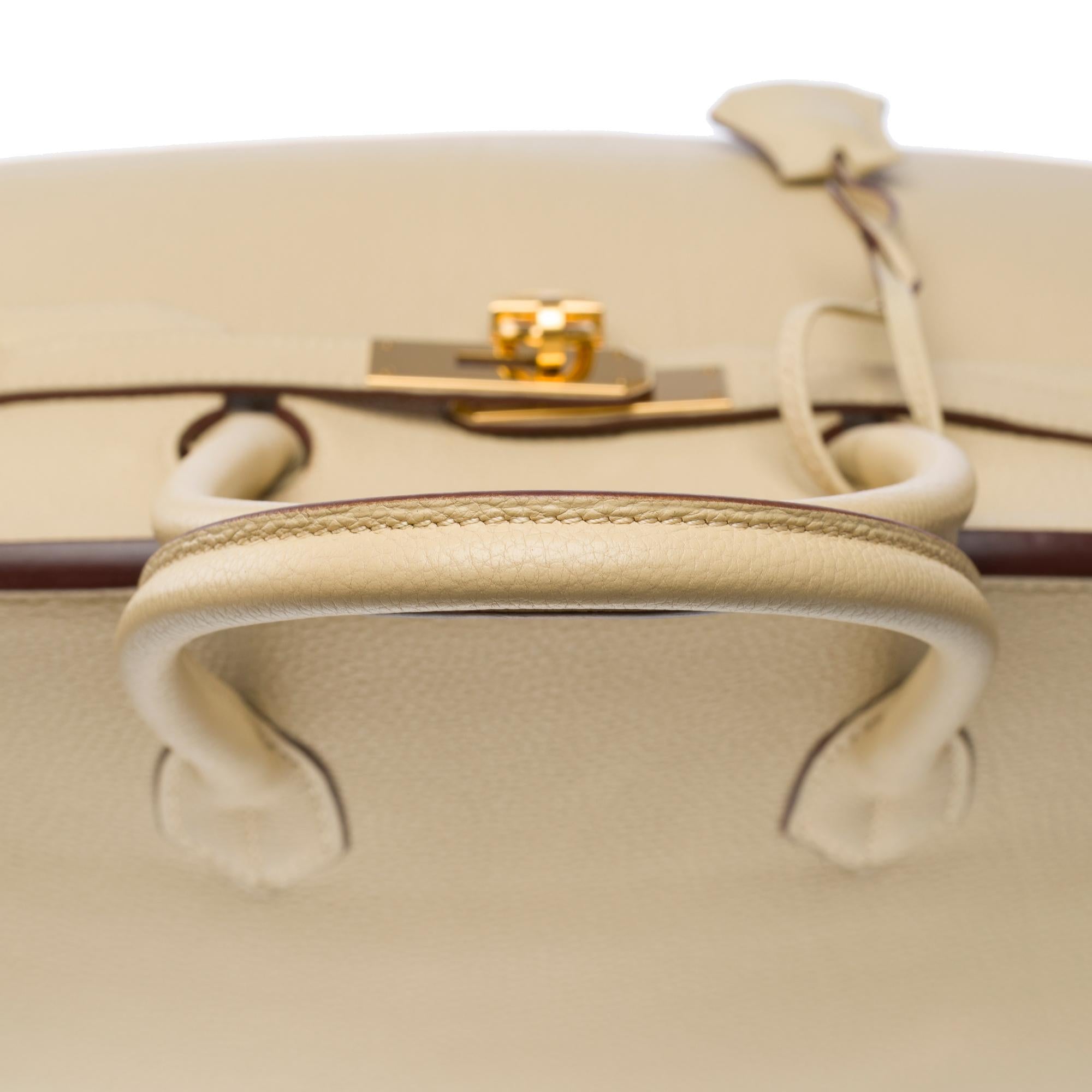 Amazing Hermès Birkin 35 handbag in Parchemin Togo leather, GHW 6