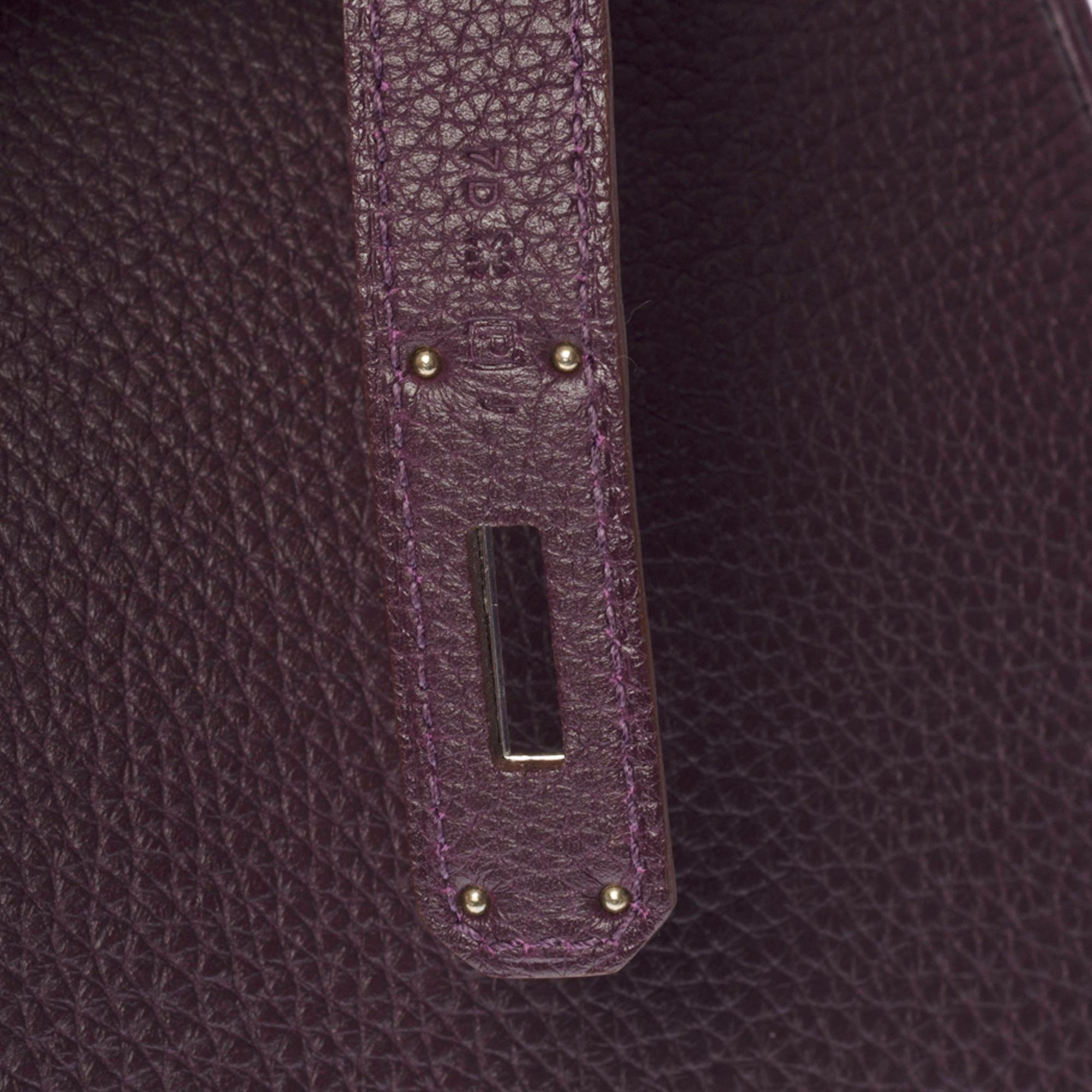Amazing Hermès Birkin 35 handbag in raisin Togo leather, SHW 1