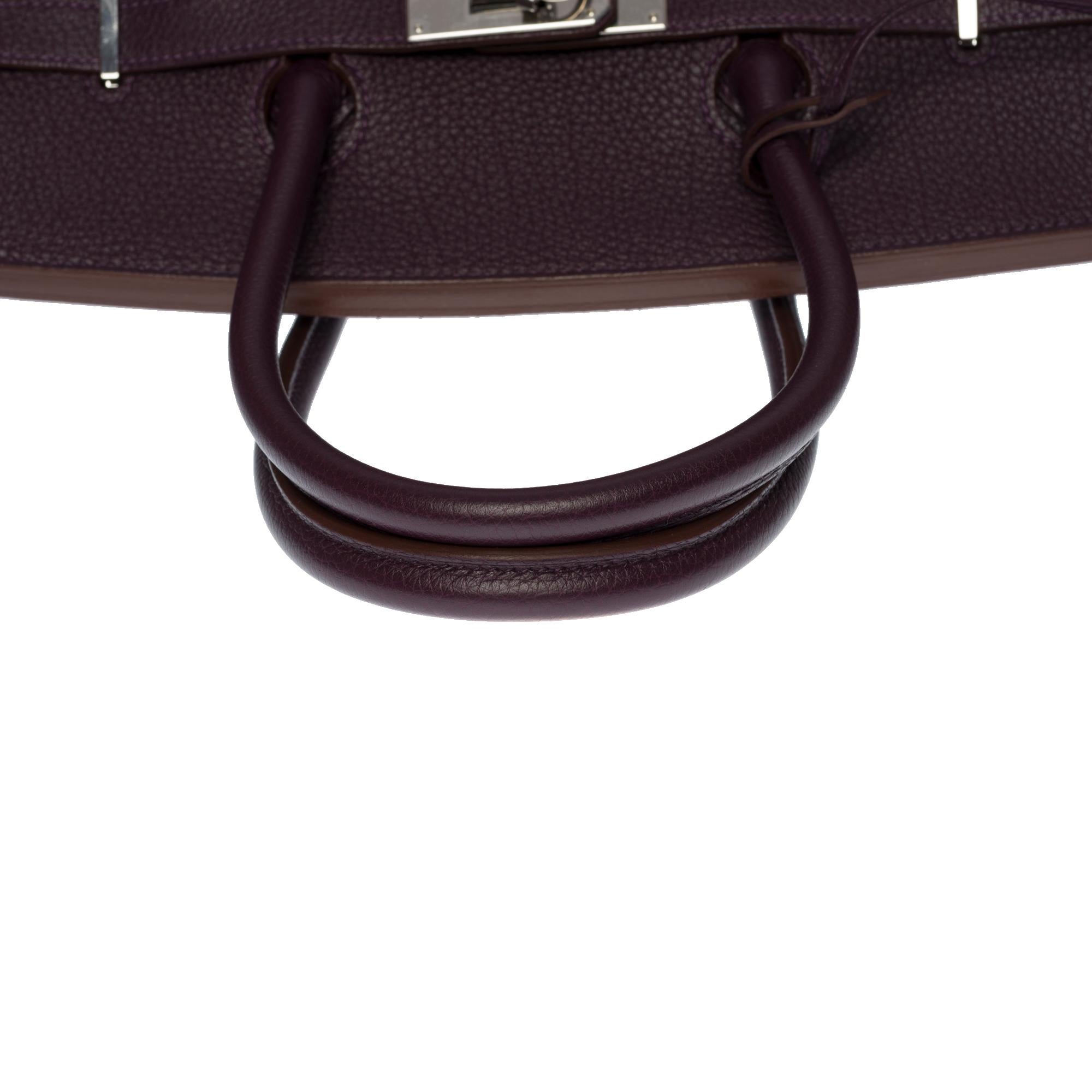 Amazing Hermès Birkin 35 handbag in raisin Togo leather, SHW 3