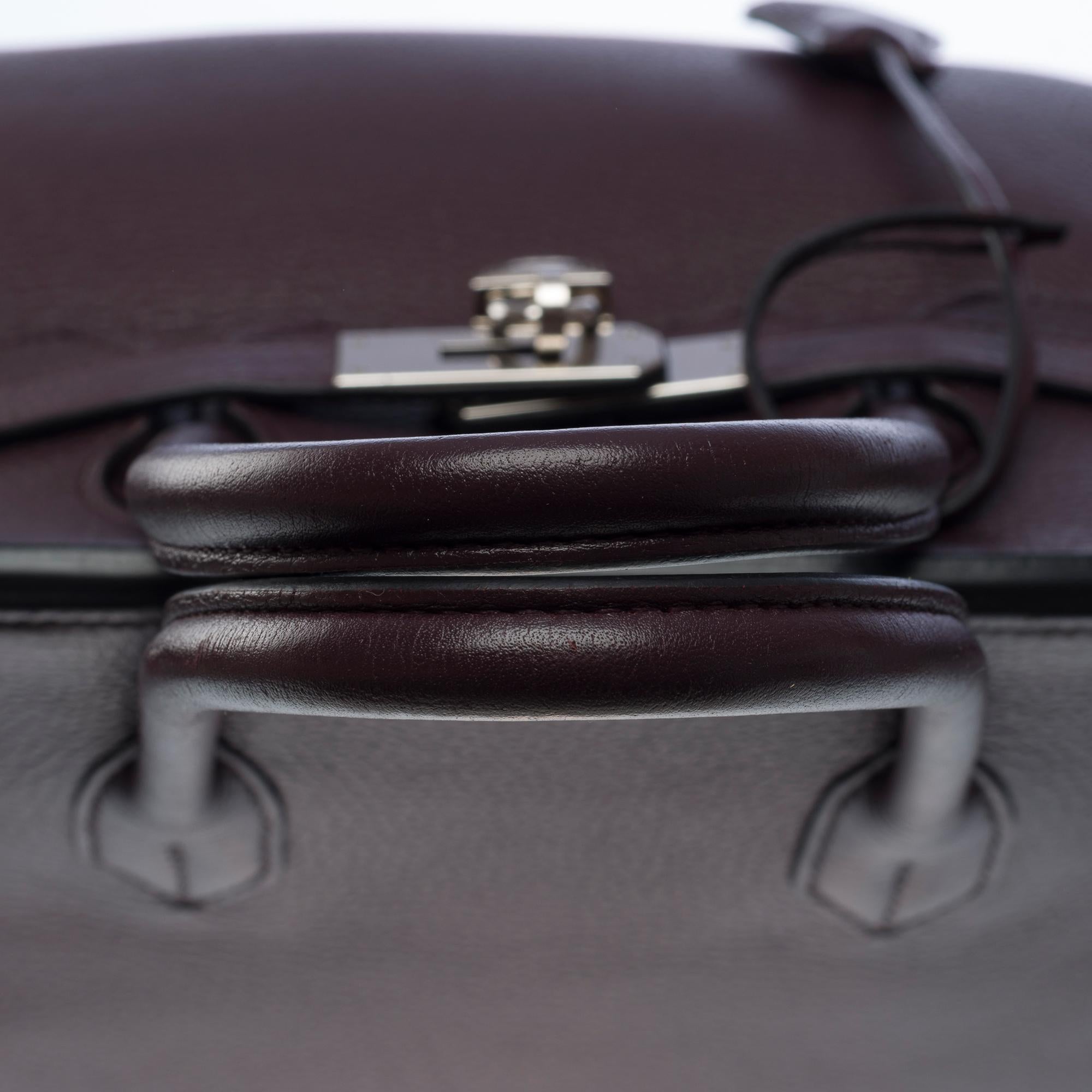 Amazing Hermès Birkin 35 handbag in Togo Raisin leather, SHW For Sale 5