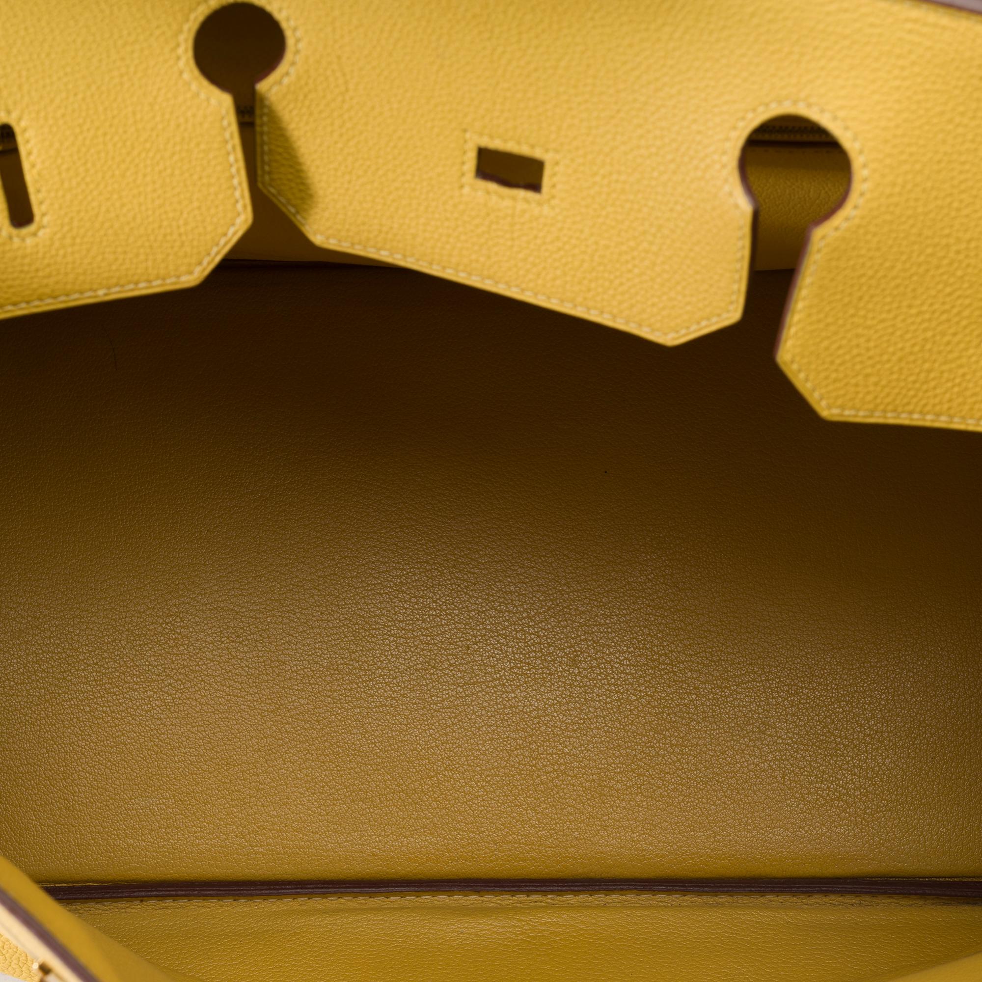 Increíble bolso Hermes Birkin 40 en piel Jaune Poussin Togo, GHW 5